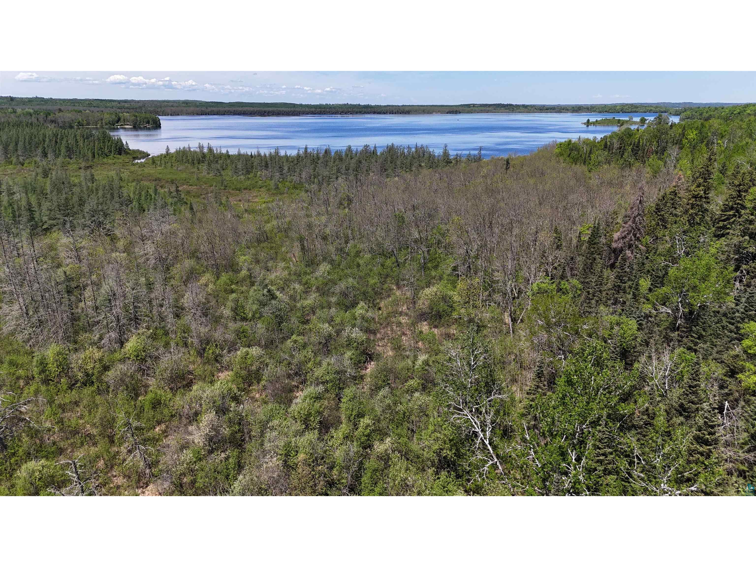 TBD 21 Nett Lake Rd Orr MN 55771 - Pelican 6124240 image12