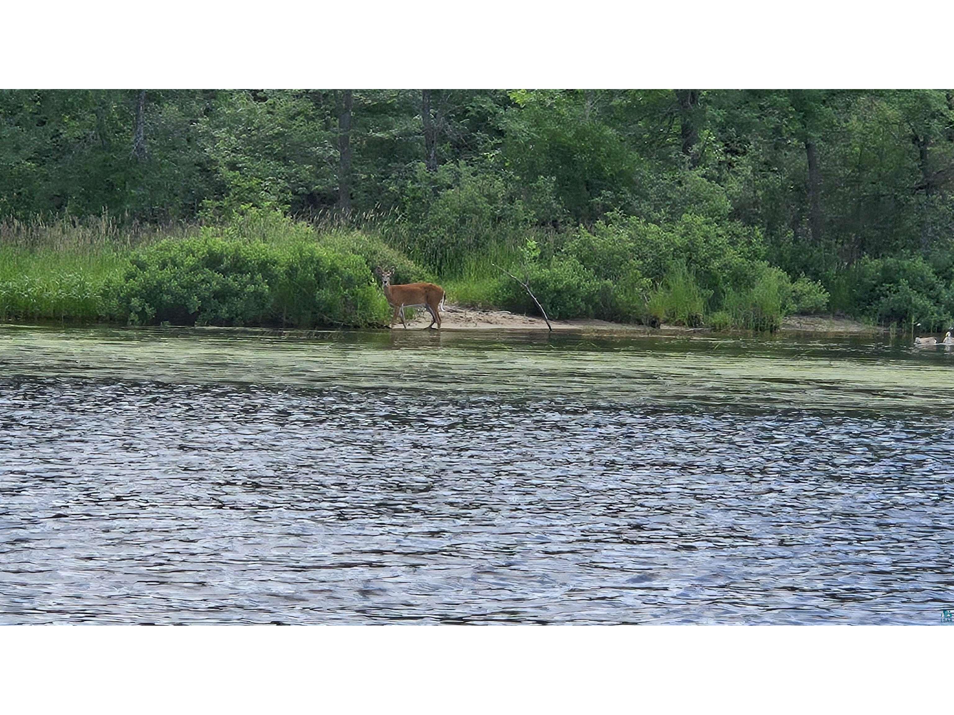 TBD 40 Crane Lake Crane Lake MN 55725 - Crane 6120348 image15