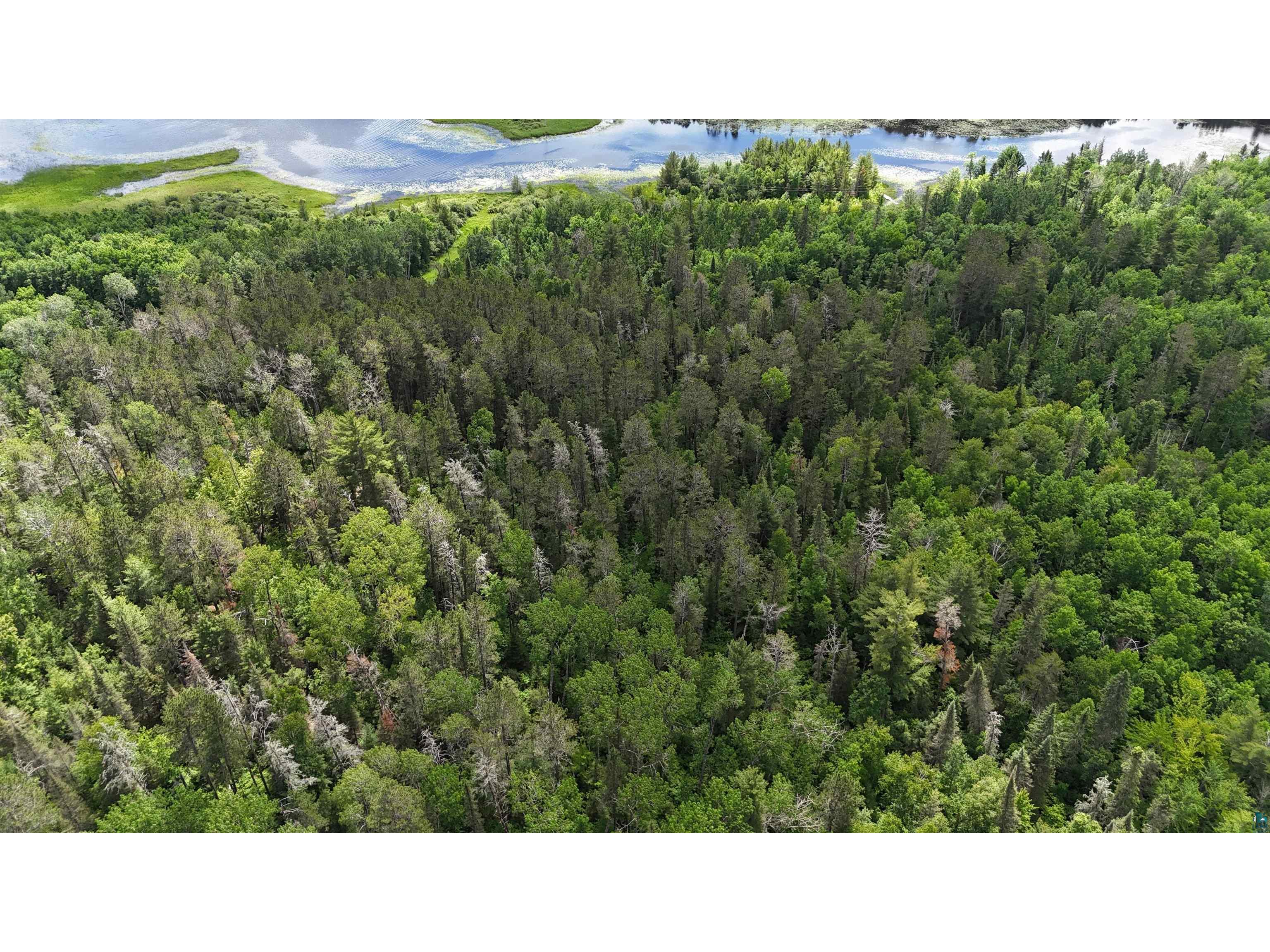 TBD 40 Crane Lake Crane Lake MN 55725 - Crane 6120348 image19