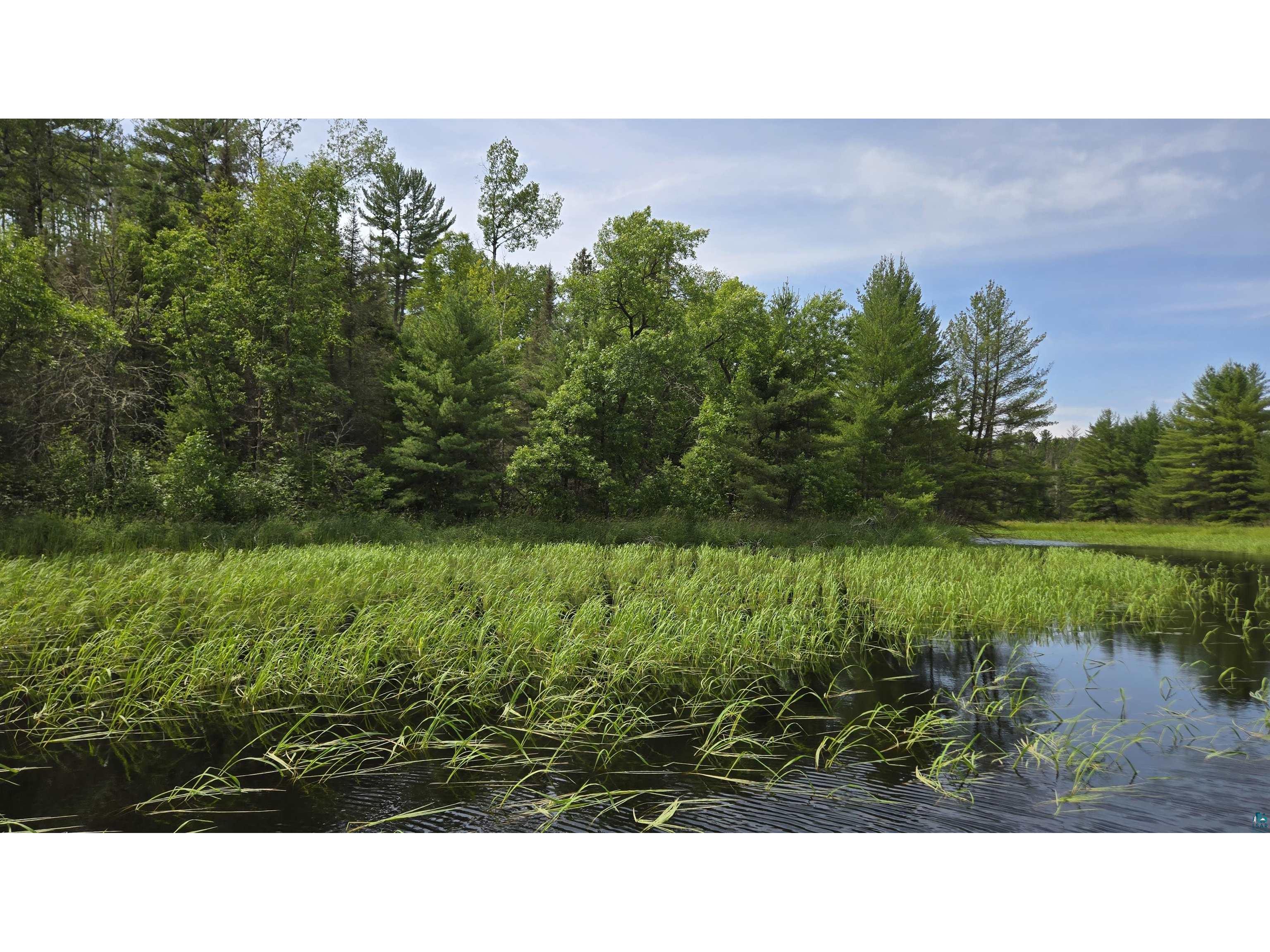 TBD 40N Rollick Creek Crane Lake MN 55725 - Crane 6120693 image1