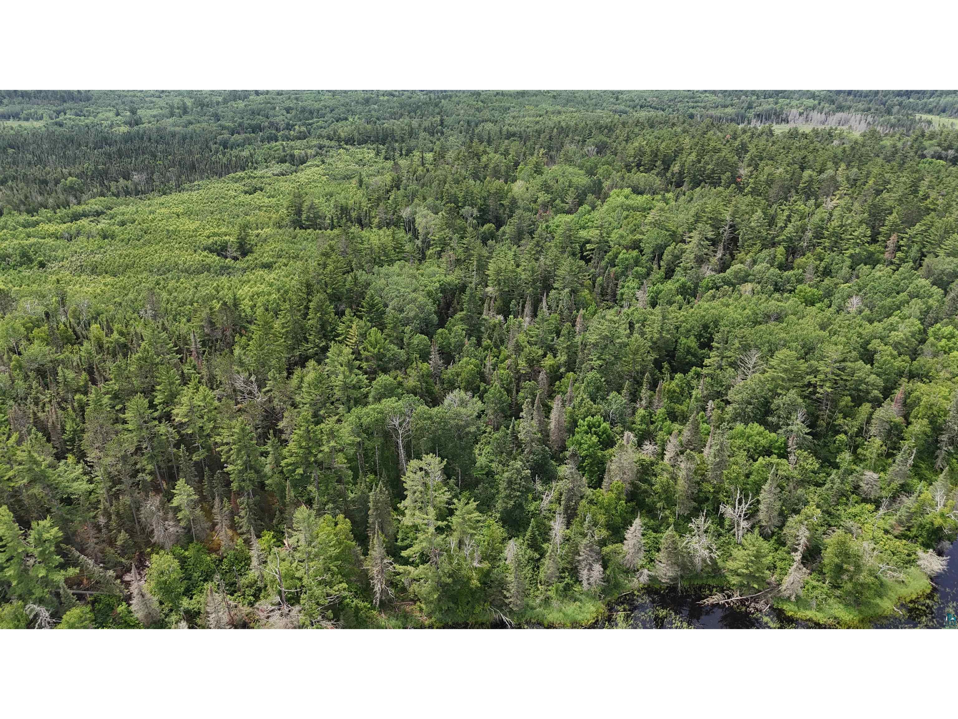 TBD 40N Rollick Creek Crane Lake MN 55725 - Crane 6120693 image10