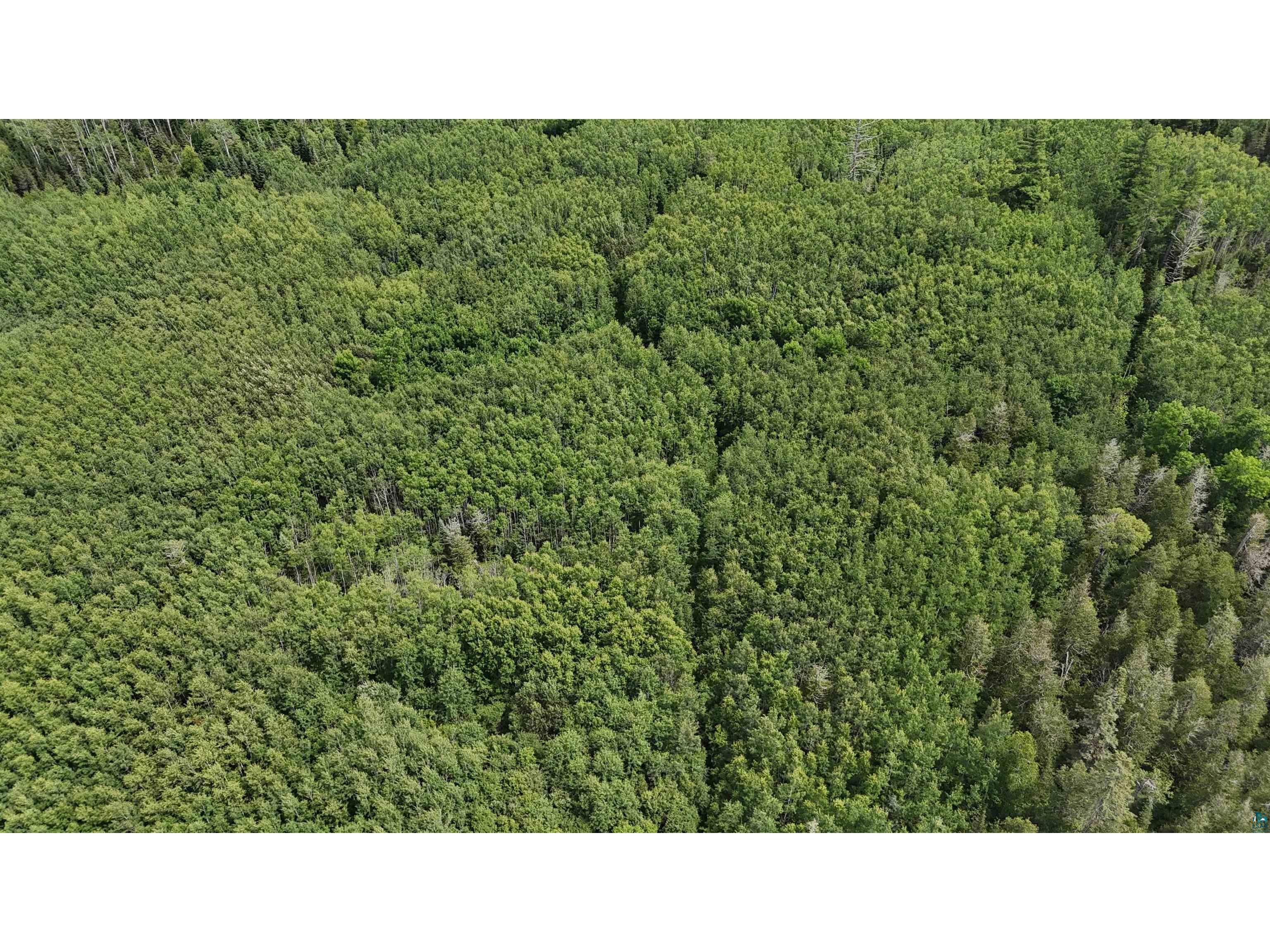 TBD 40N Rollick Creek Crane Lake MN 55725 - Crane 6120693 image11