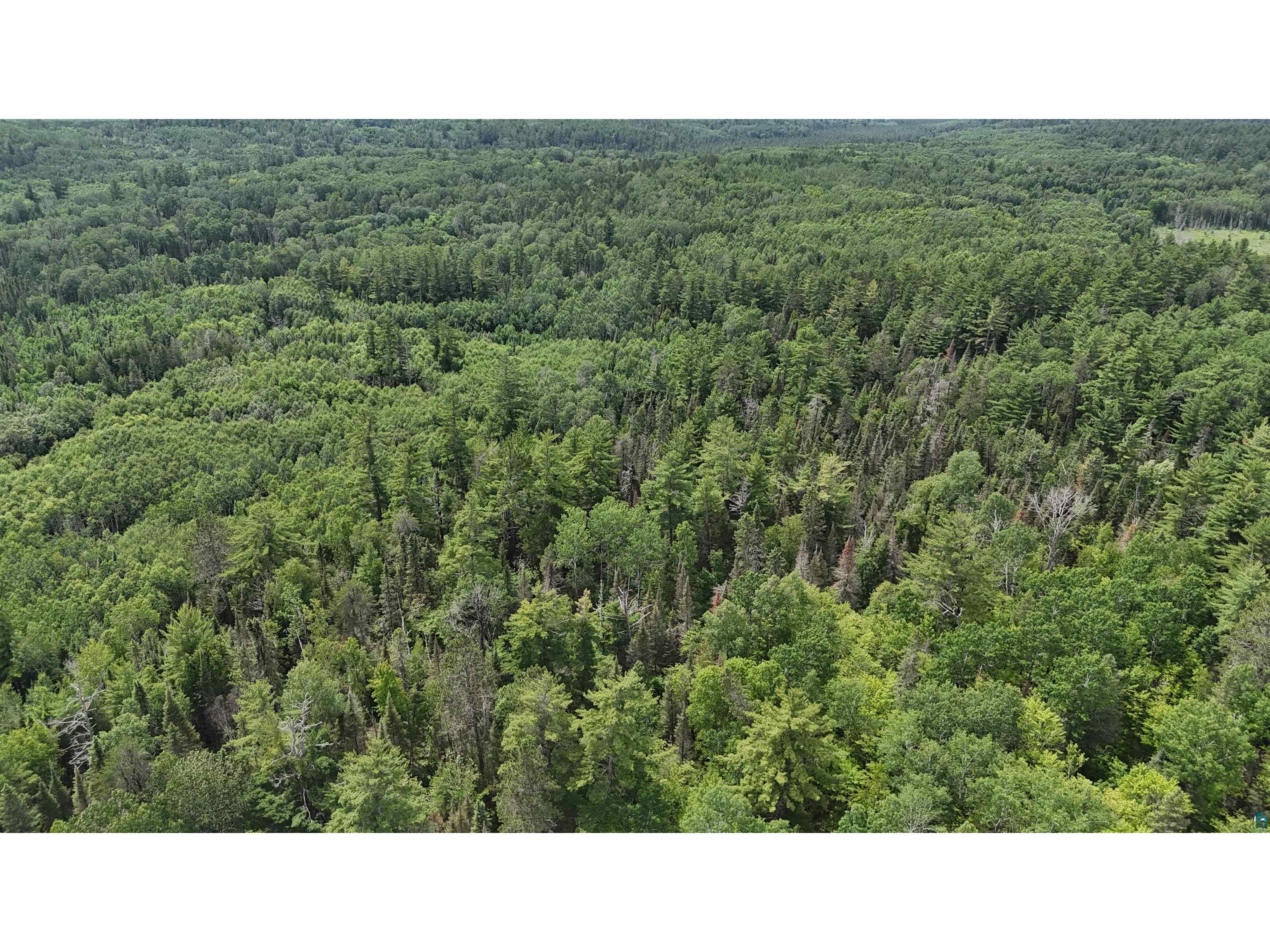 TBD 40N Rollick Creek Crane Lake MN 55725 - Crane 6120693 image13