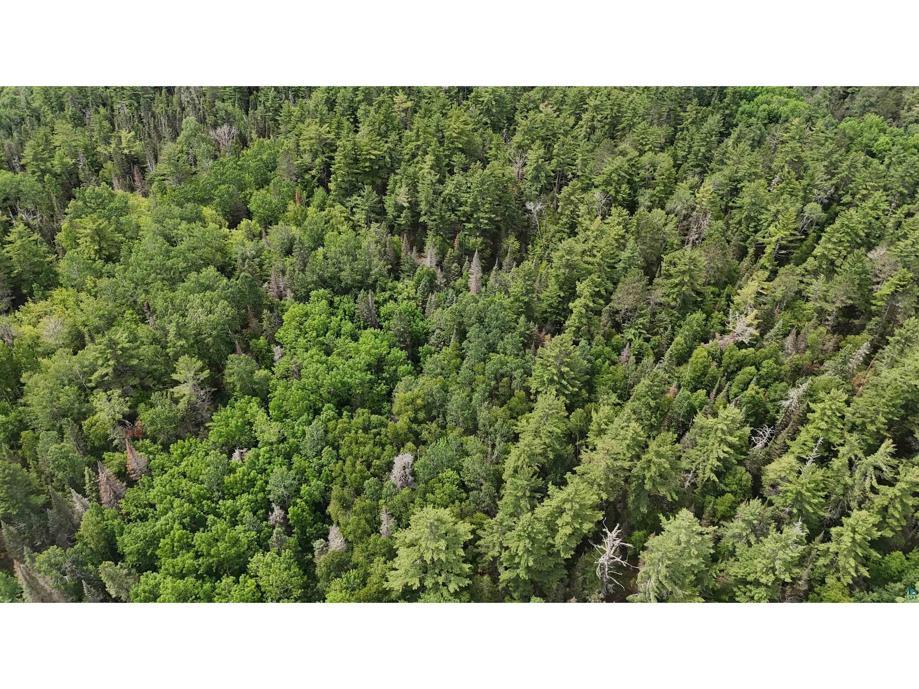 TBD 40N Rollick Creek Crane Lake MN 55725 - Crane 6120693 image14