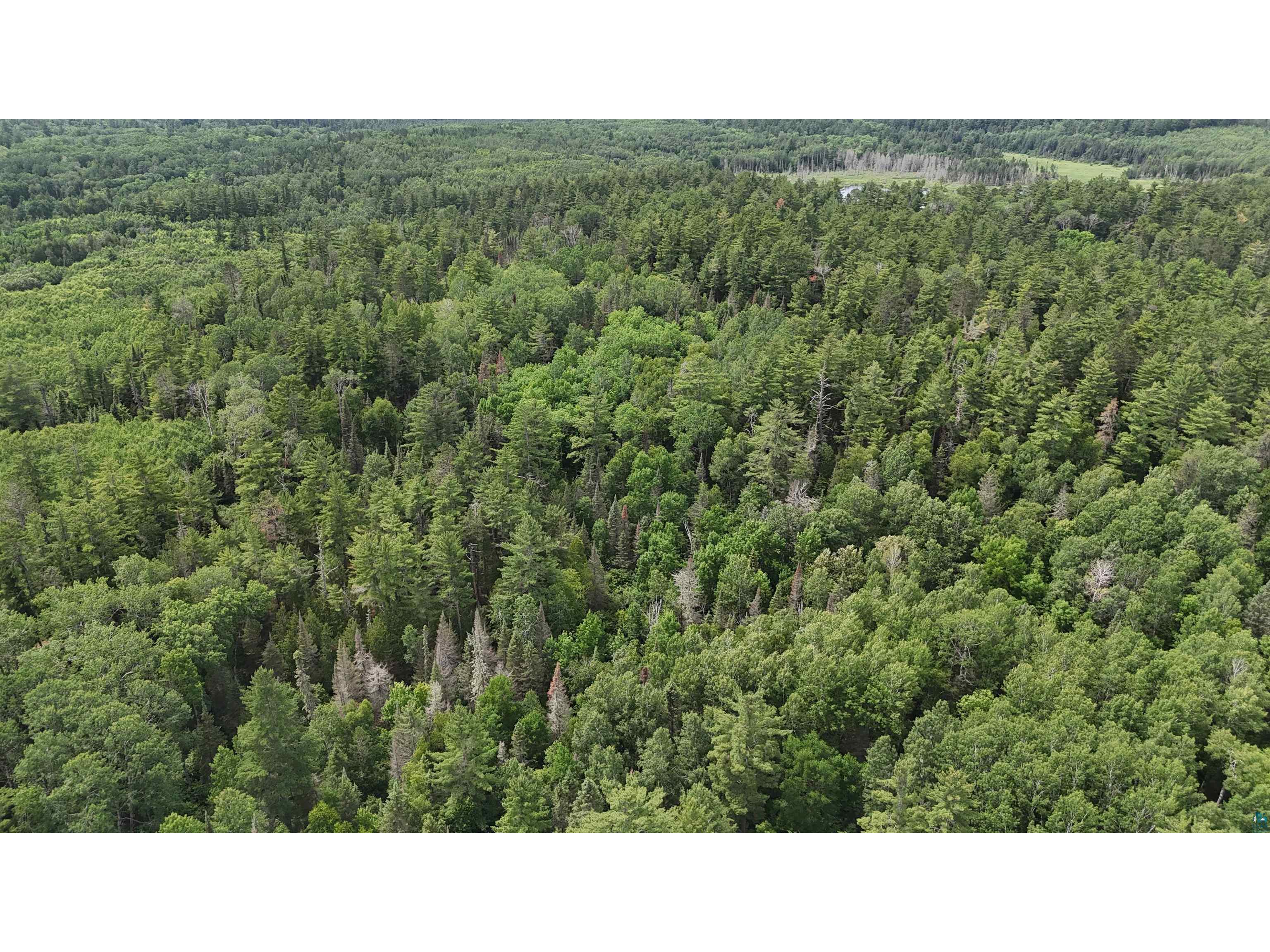 TBD 40N Rollick Creek Crane Lake MN 55725 - Crane 6120693 image15