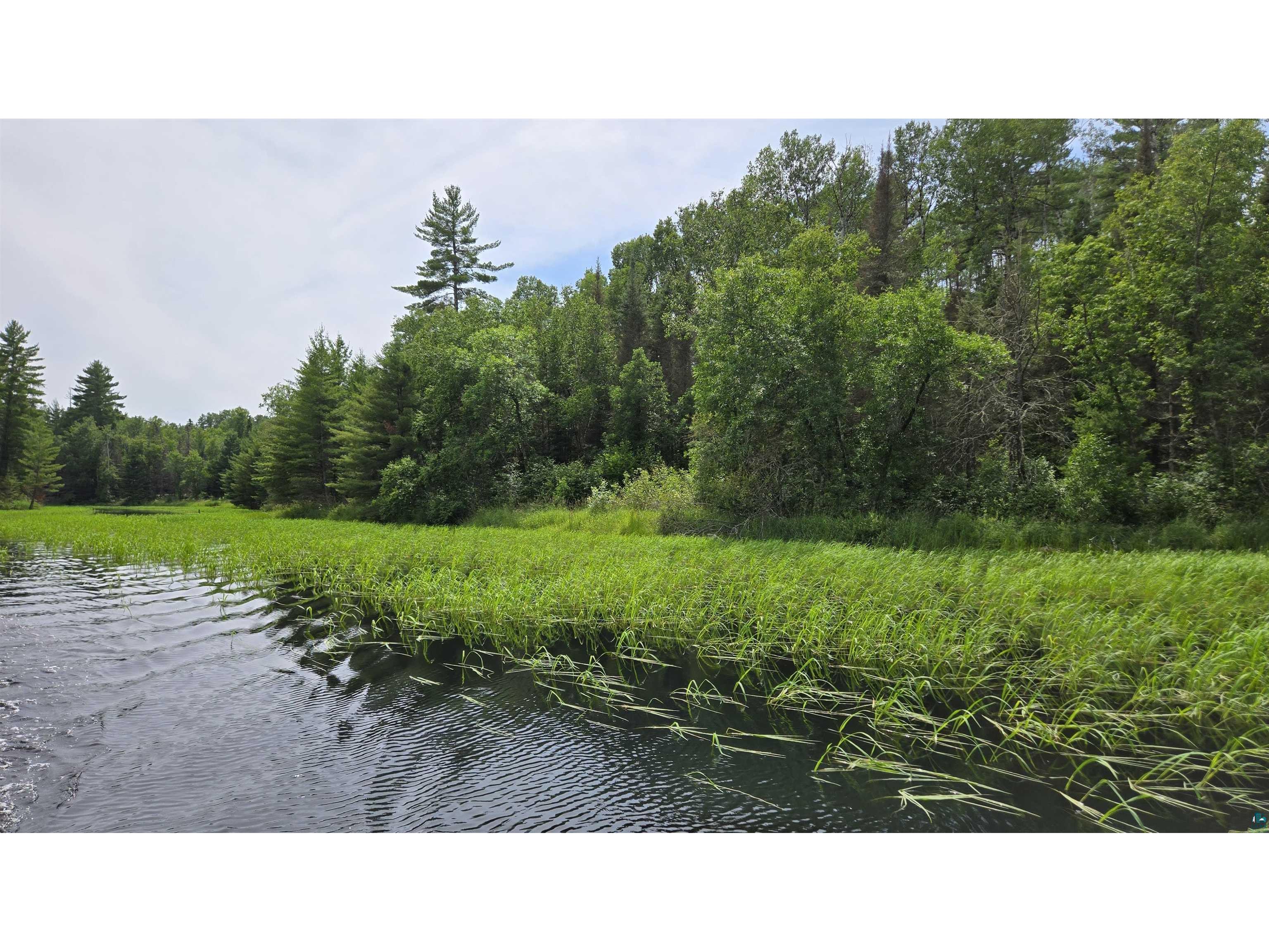 TBD 40N Rollick Creek Crane Lake MN 55725 - Crane 6120693 image2