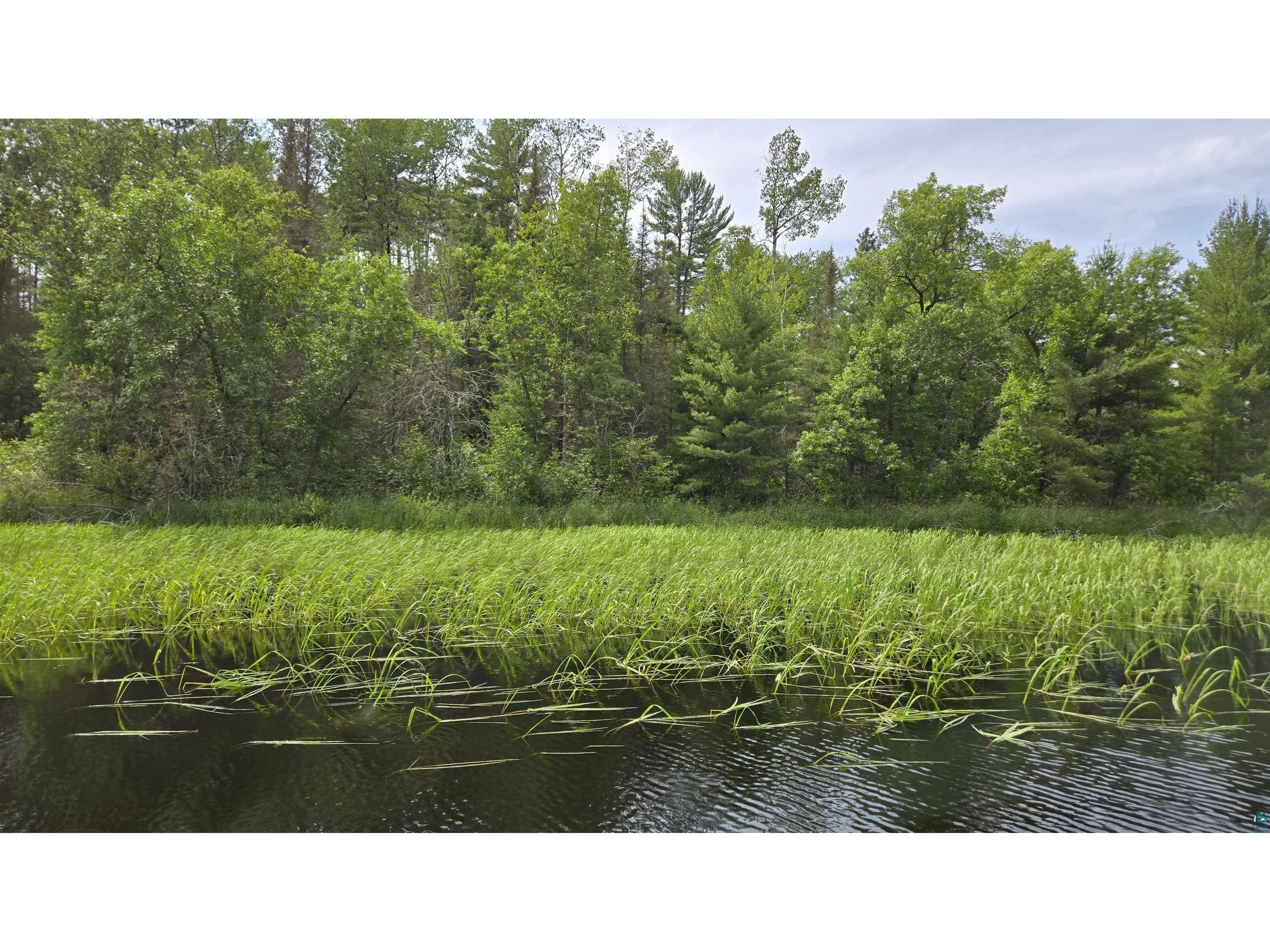 TBD 40N Rollick Creek Crane Lake MN 55725 - Crane 6120693 image4