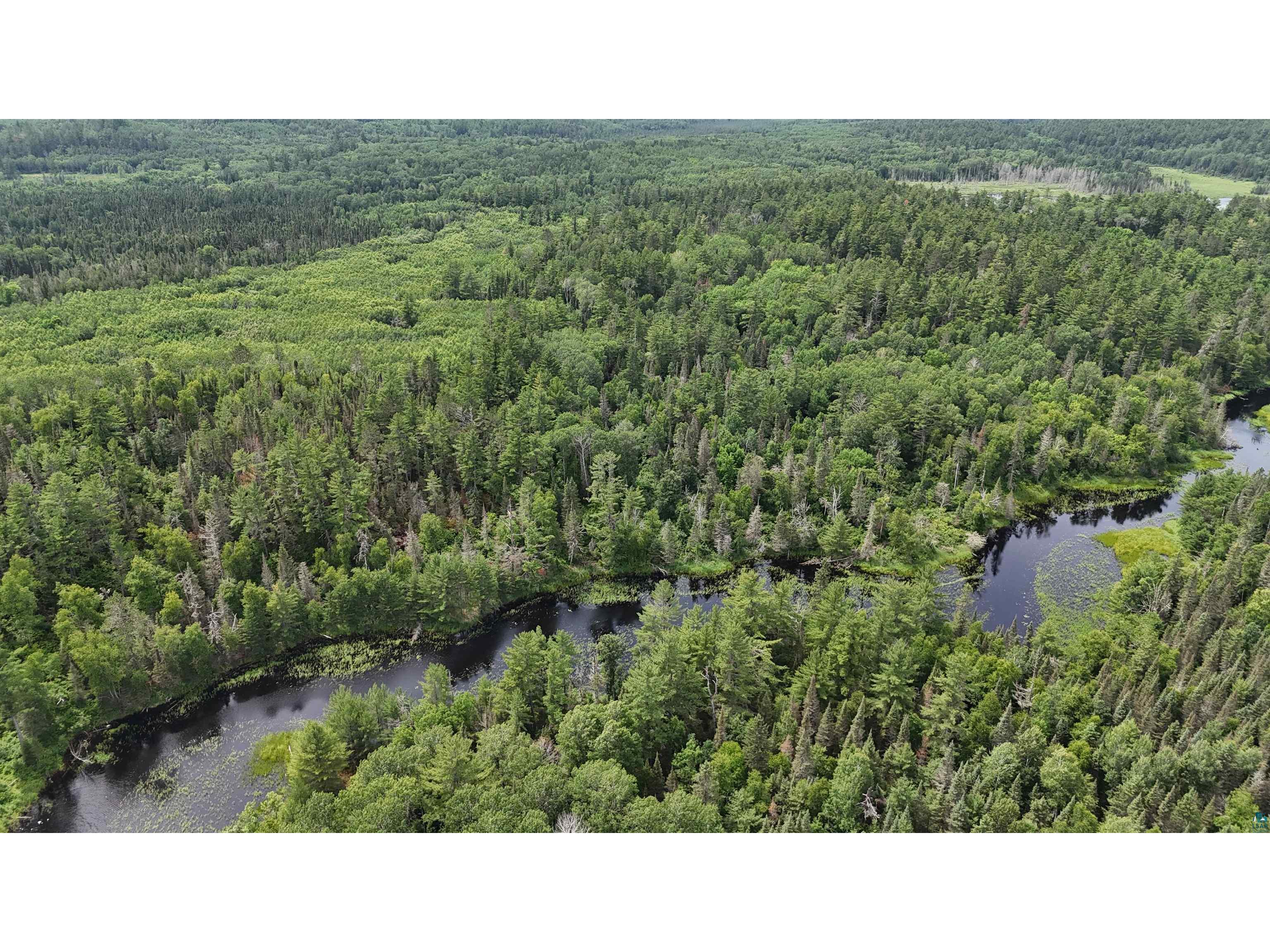 TBD 40N Rollick Creek Crane Lake MN 55725 - Crane 6120693 image5