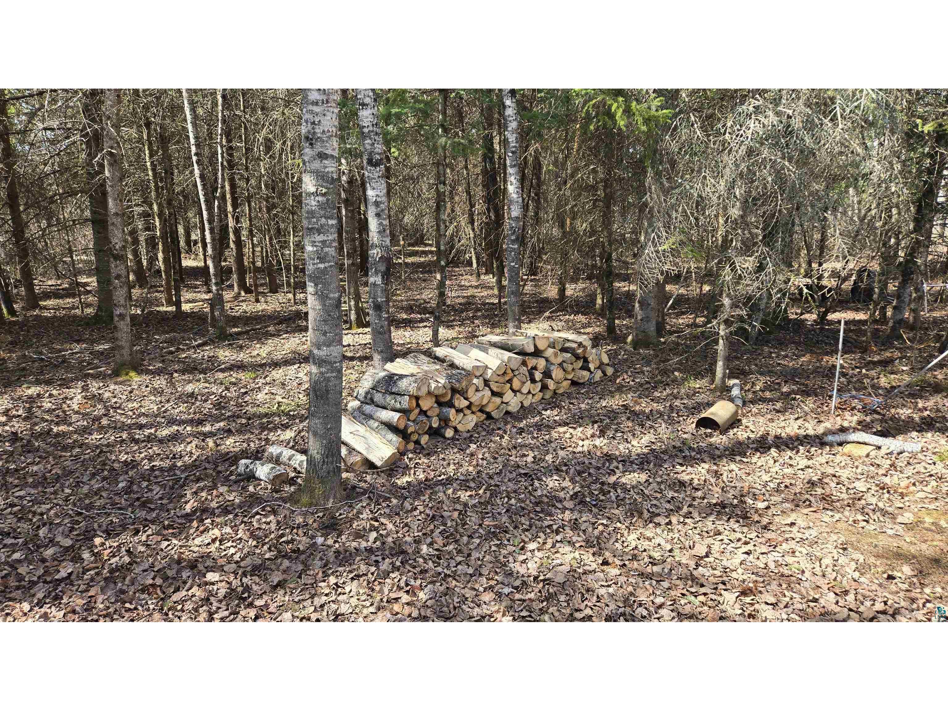 TBD 43 Lummi Rd Orr MN 55771 6125235 image16