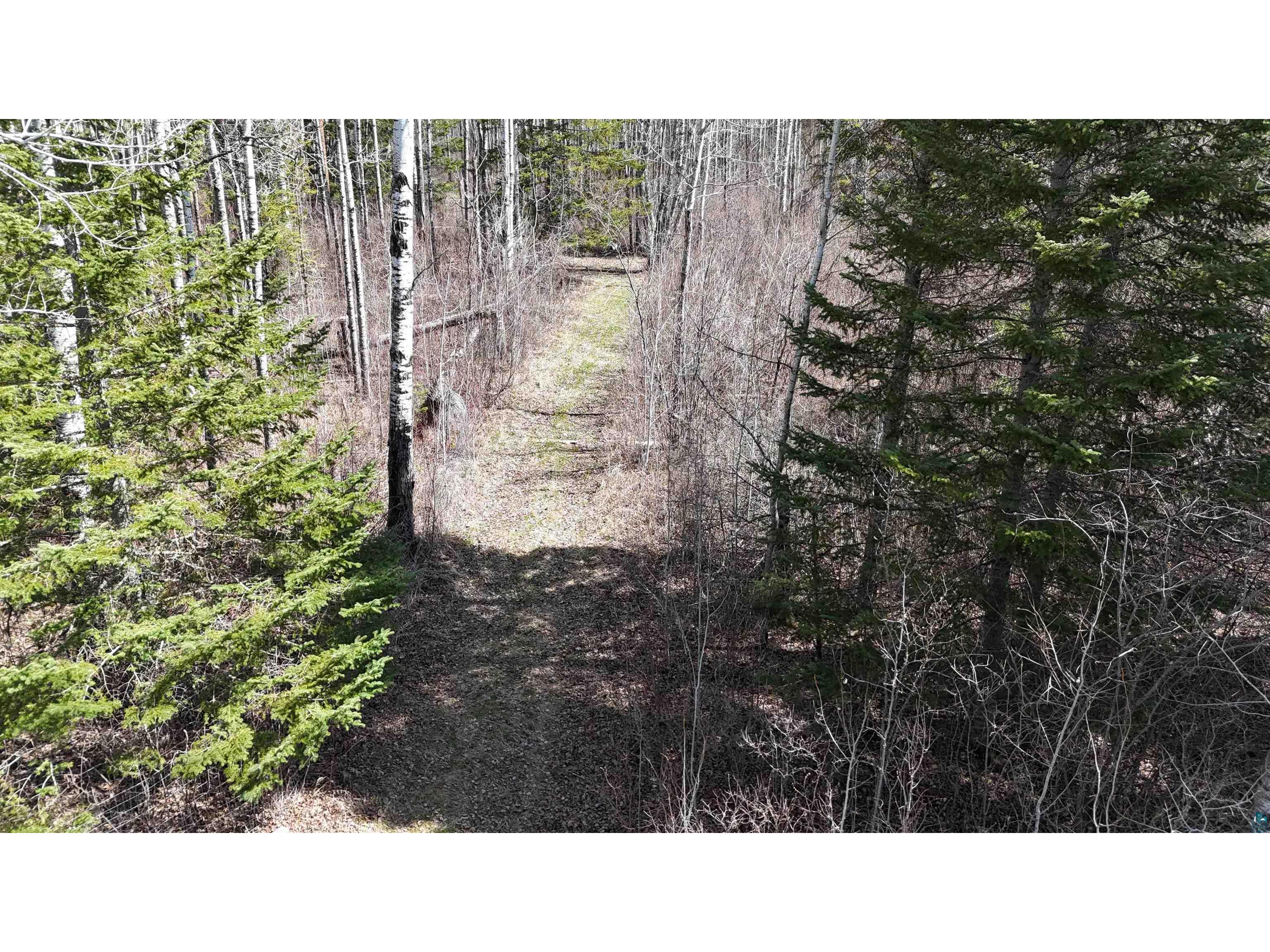 TBD 43 Lummi Rd Orr MN 55771 6125235 image20