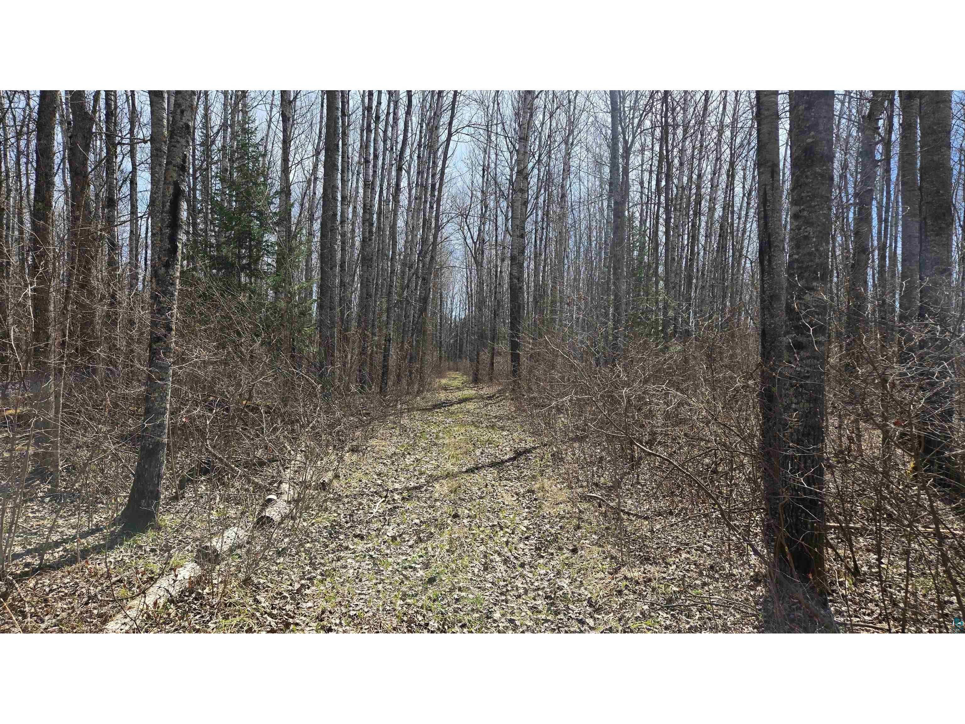 TBD 43 Lummi Rd Orr MN 55771 6125235 image22