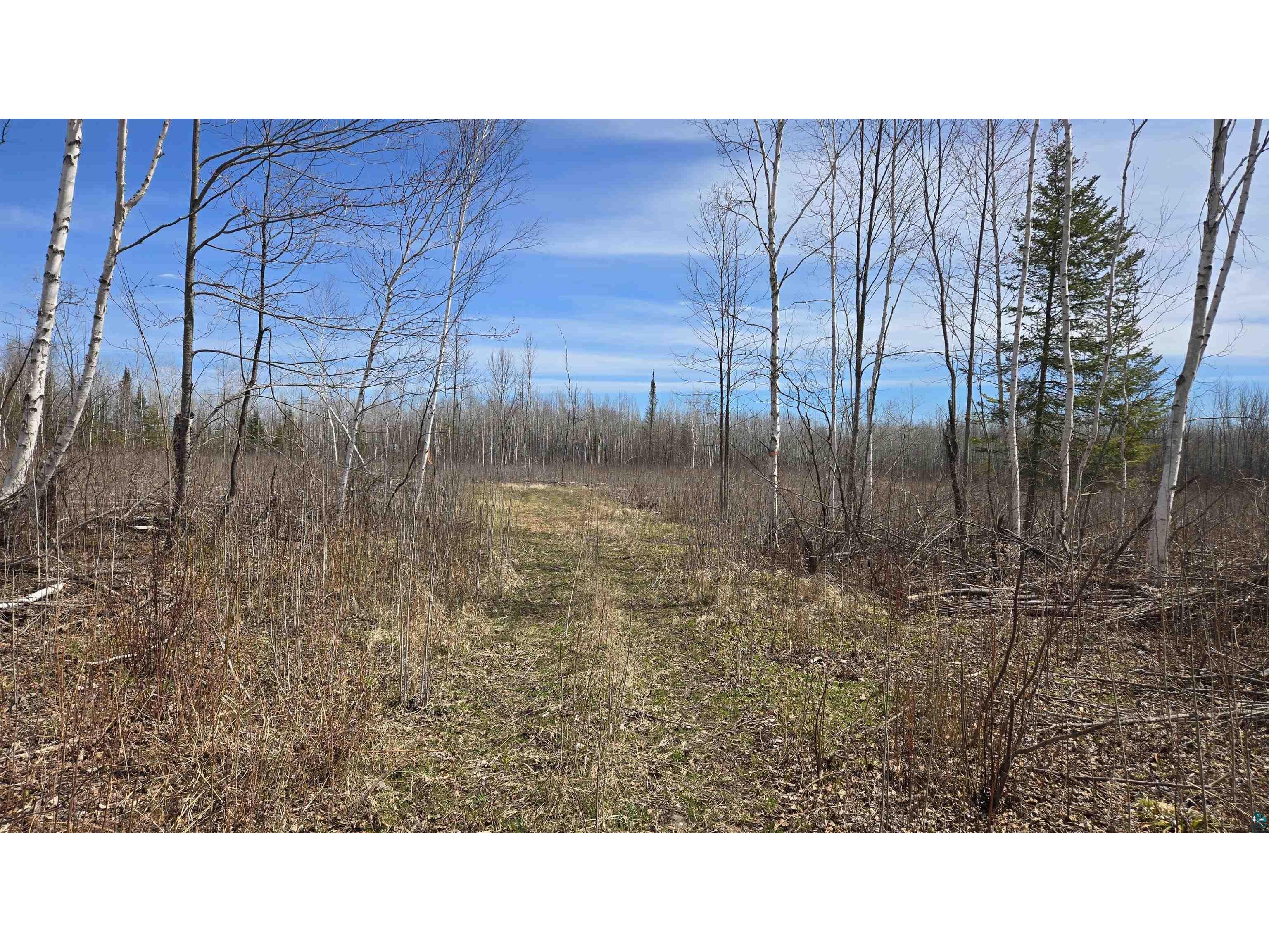 TBD 43 Lummi Rd Orr MN 55771 6125235 image25