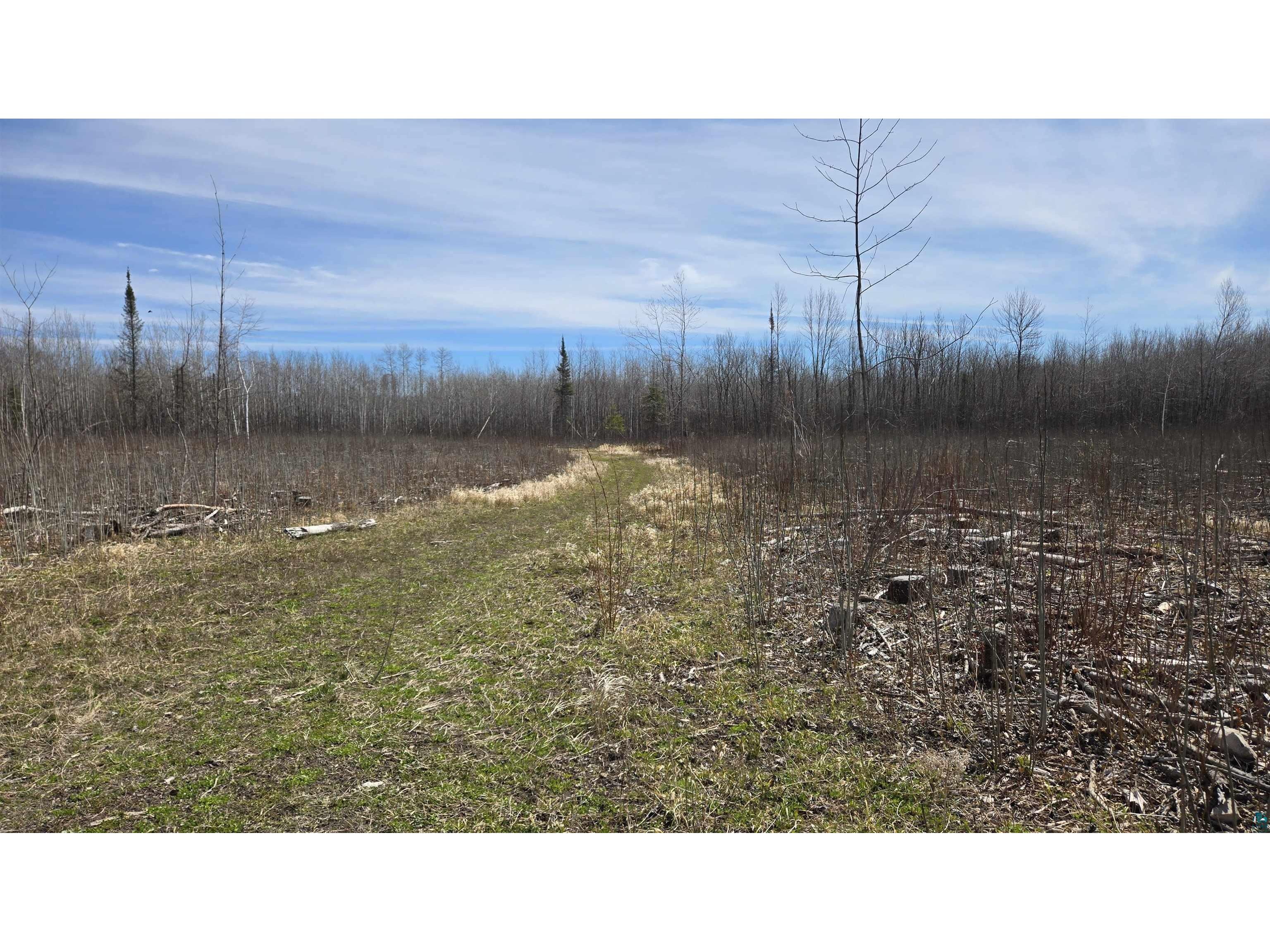 TBD 43 Lummi Rd Orr MN 55771 6125235 image26