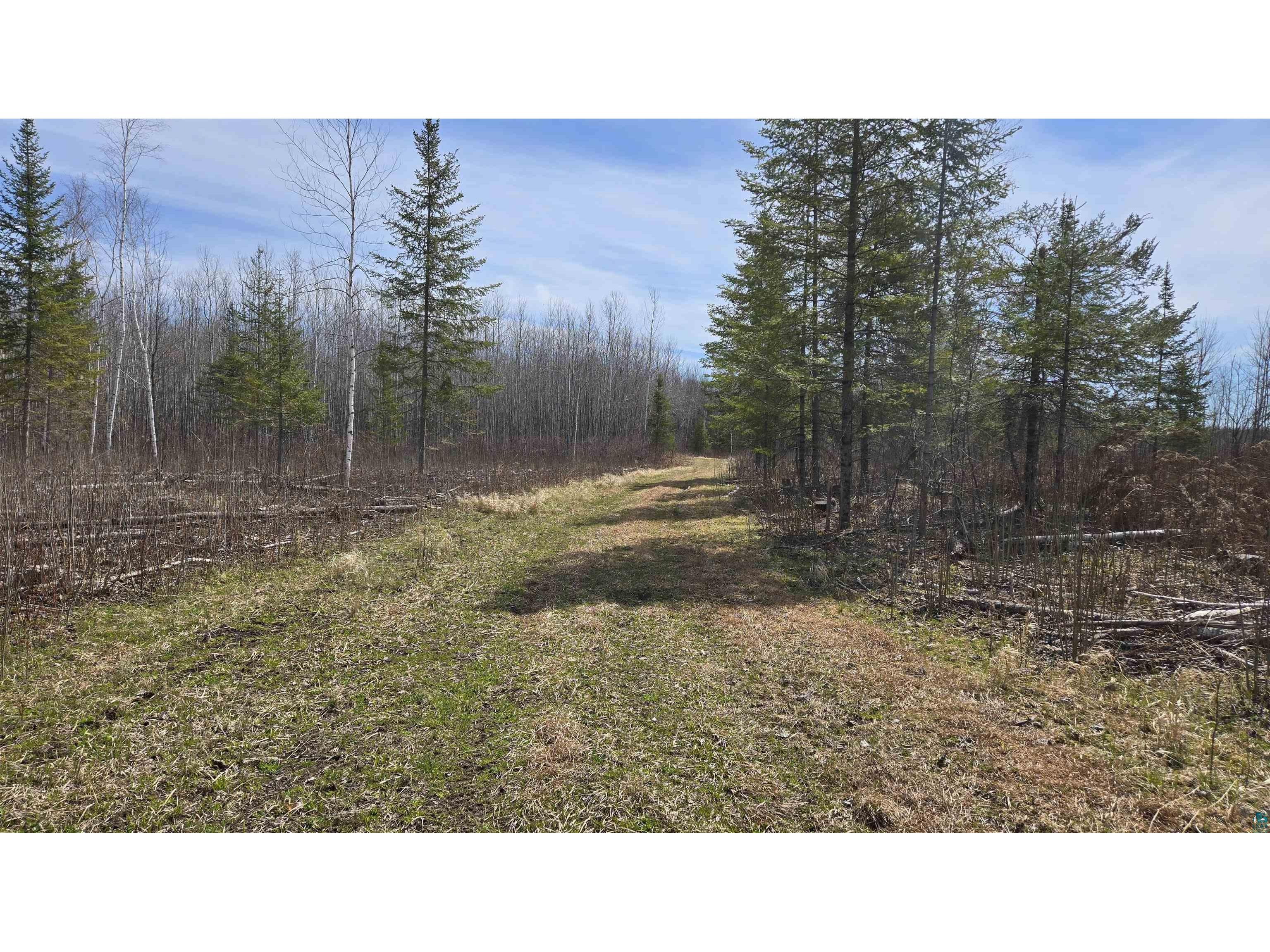 TBD 43 Lummi Rd Orr MN 55771 6125235 image27