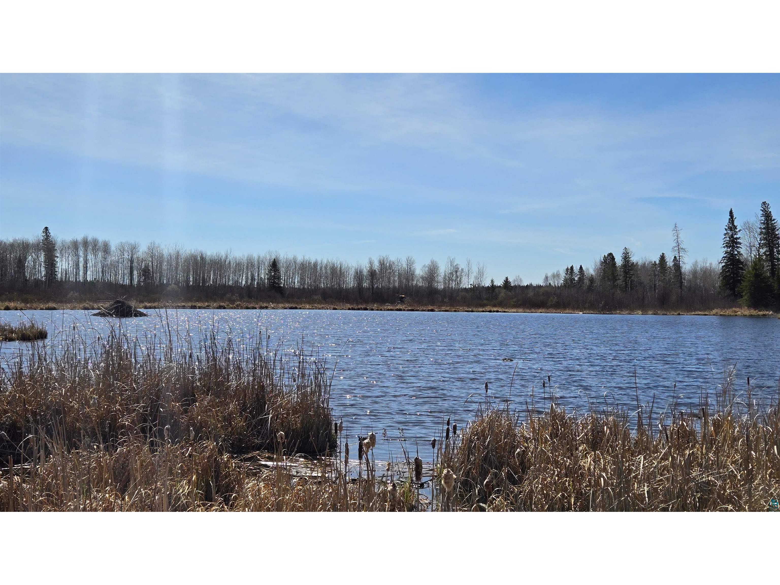 TBD 43 Lummi Rd Orr MN 55771 6125235 image4