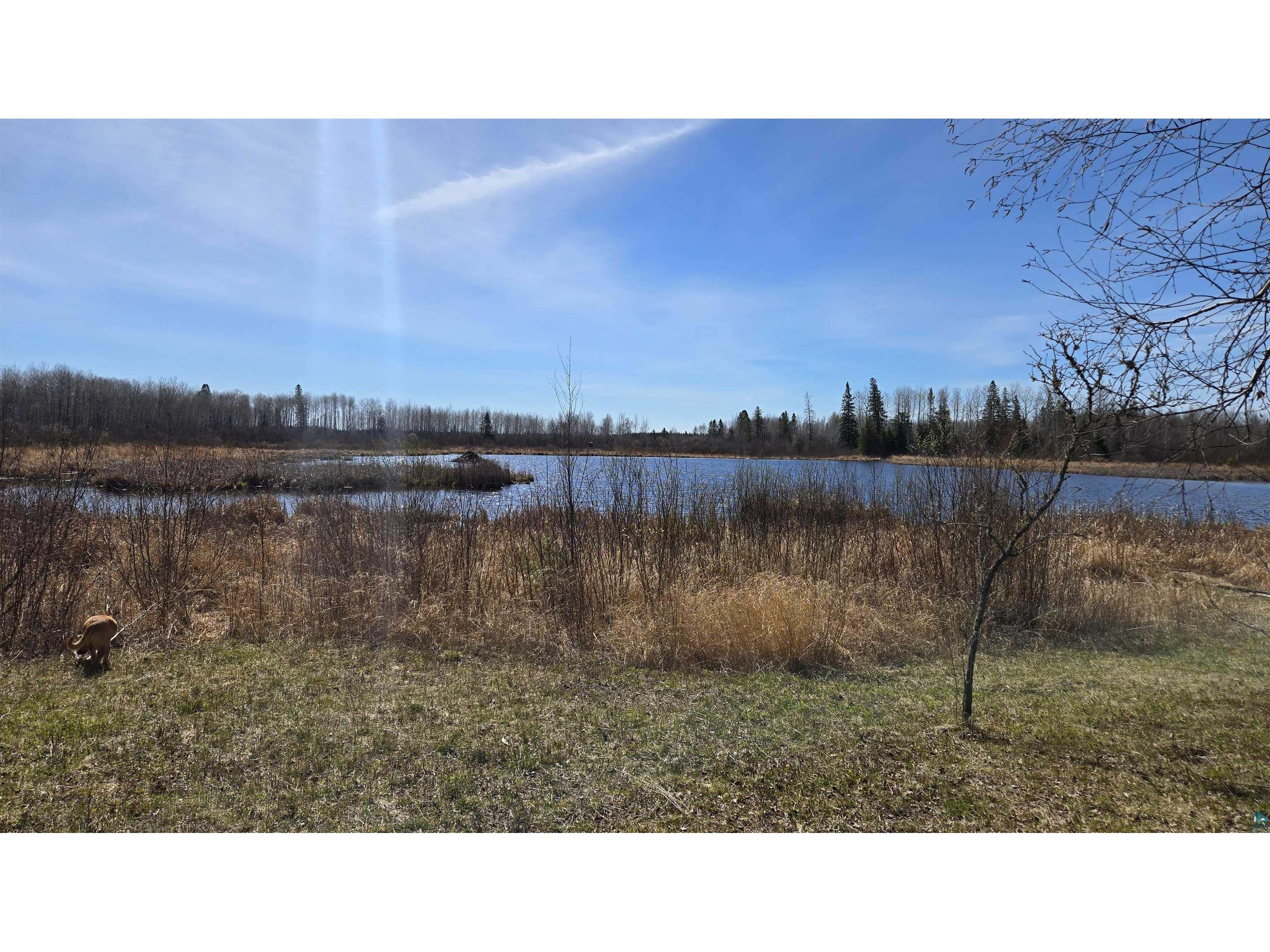 TBD 43 Lummi Rd Orr MN 55771 6125235 image9