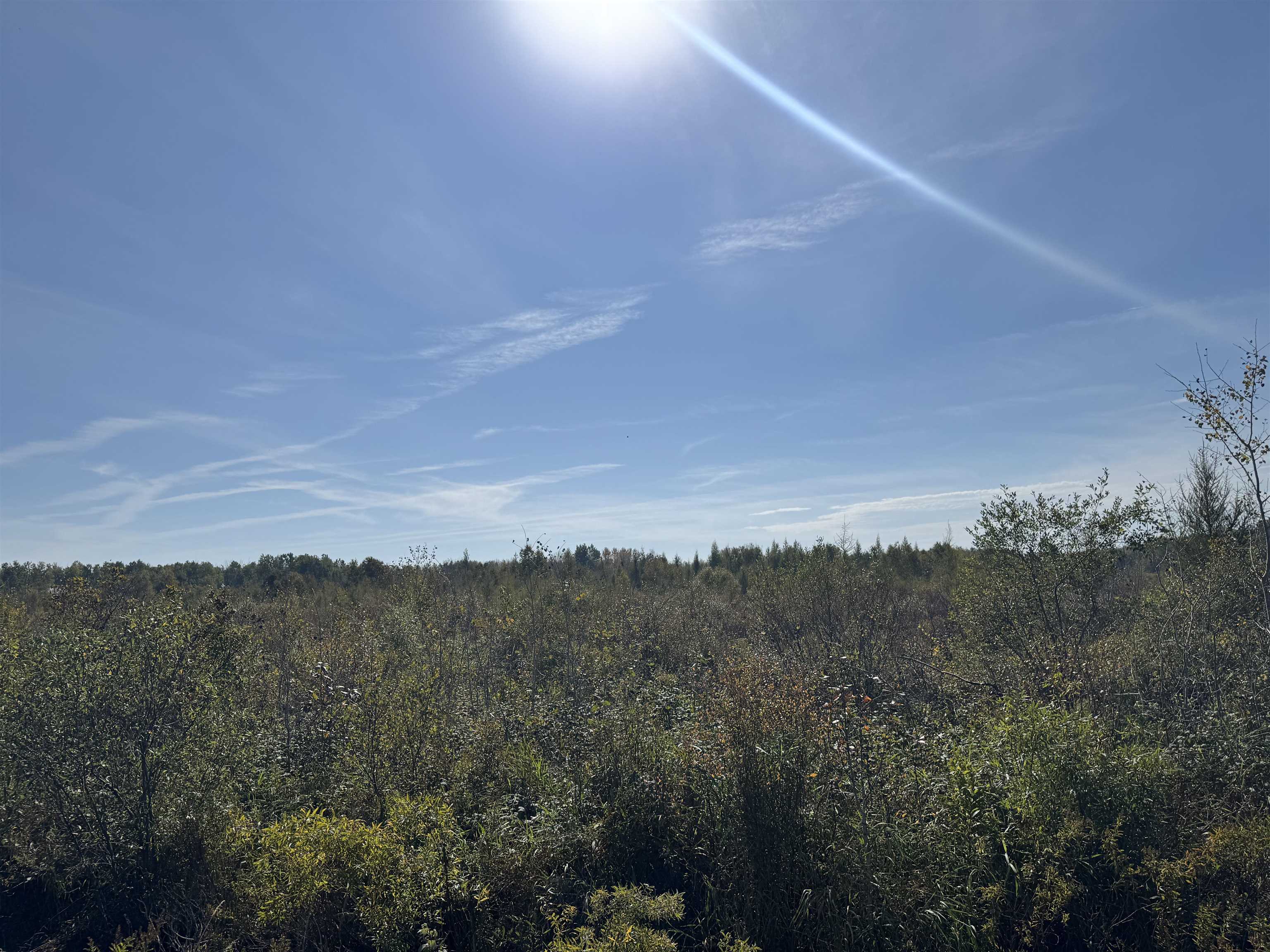 TBD 460th Ln Palisade MN 56469 6122349 image14