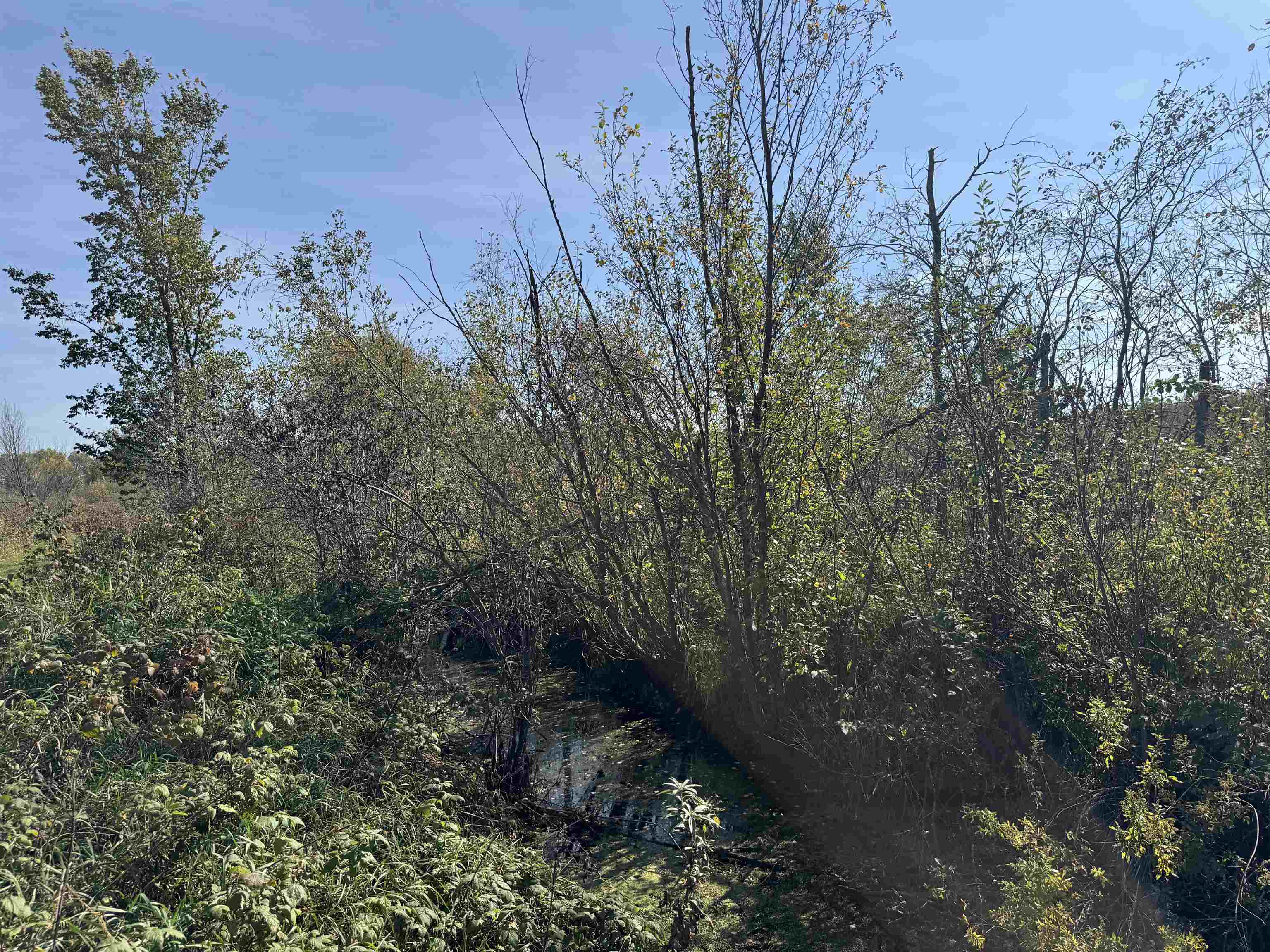 TBD 460th Ln Palisade MN 56469 6122349 image16