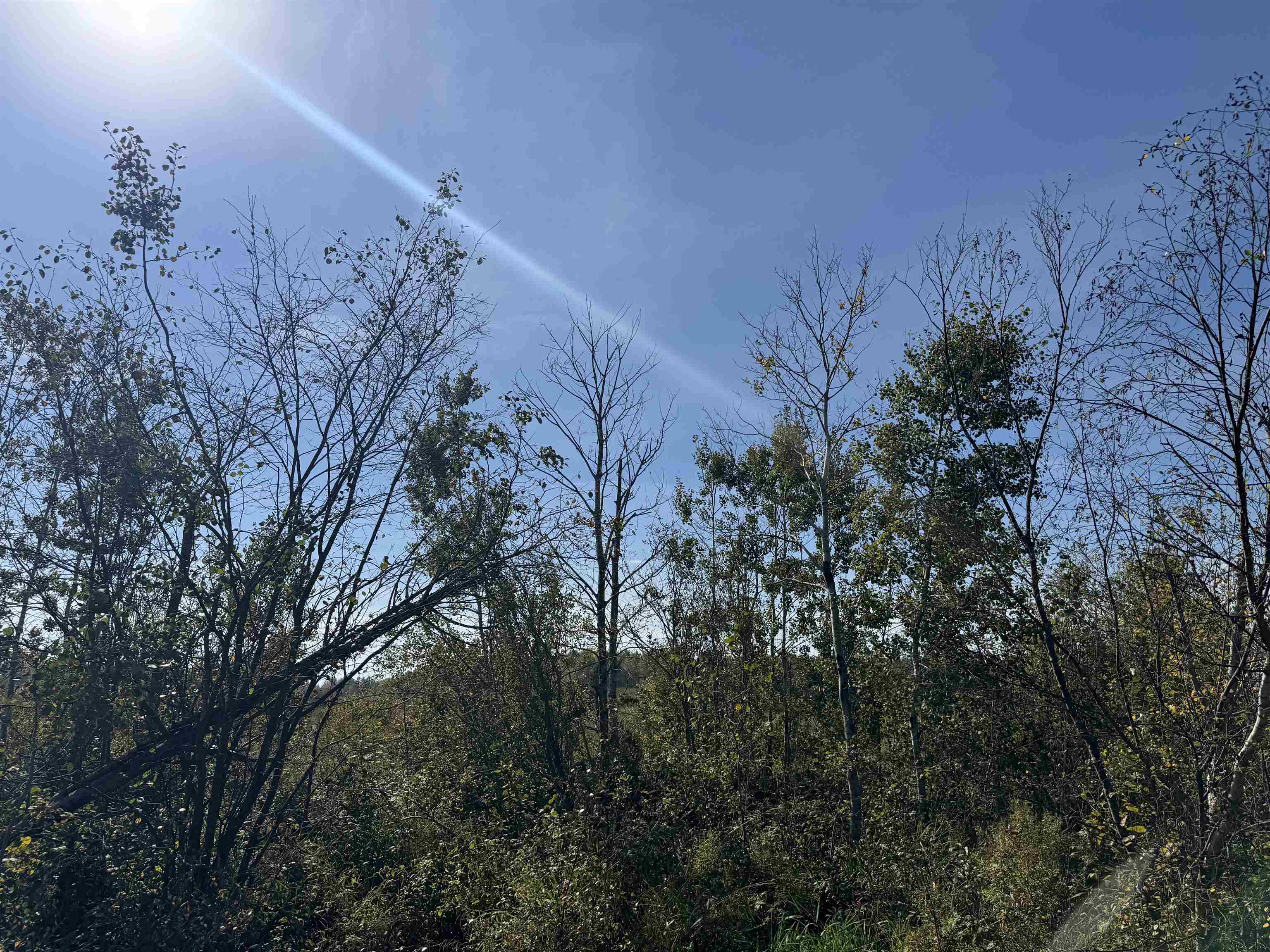 TBD 460th Ln Palisade MN 56469 6122349 image17