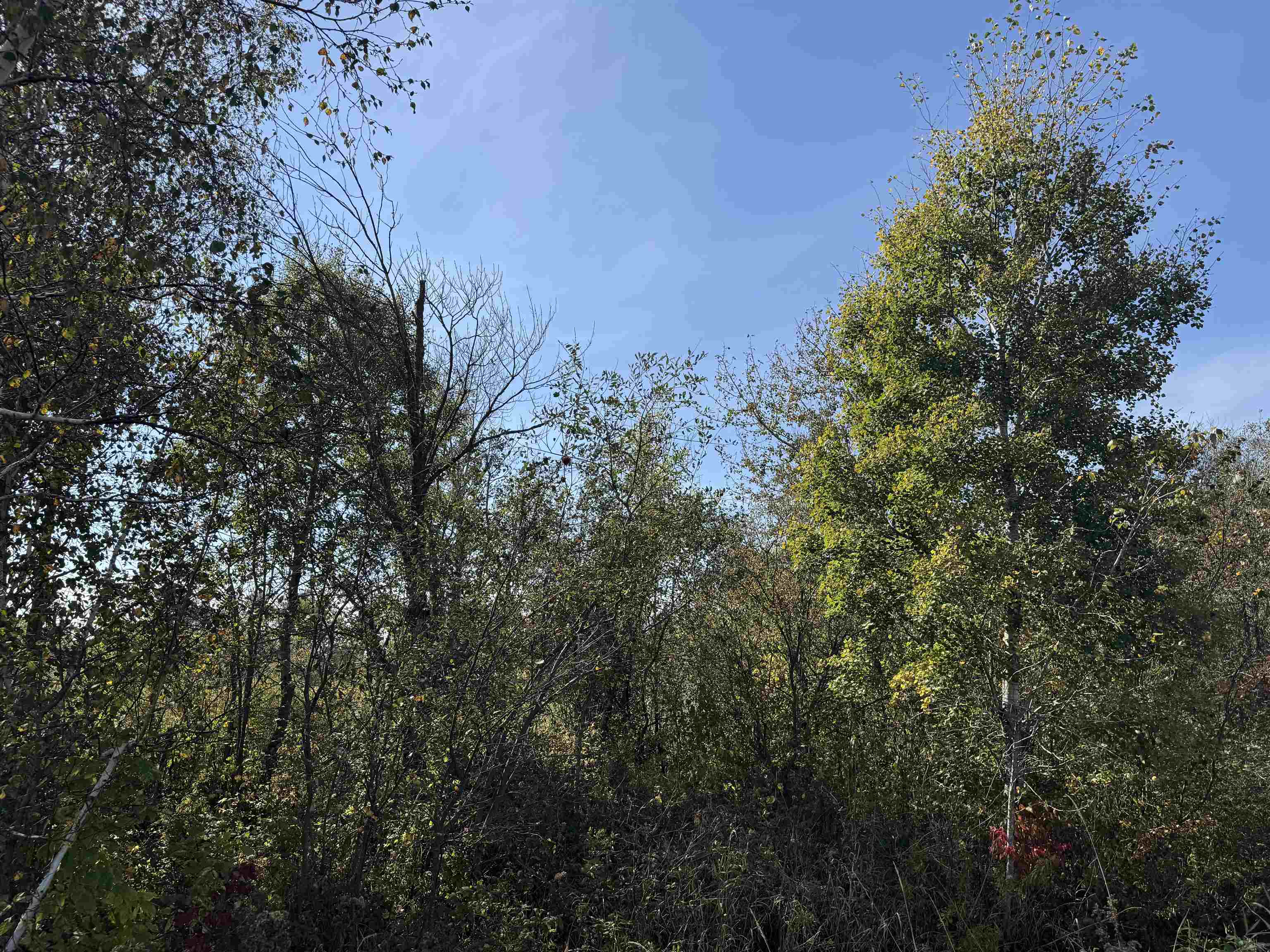 TBD 460th Ln Palisade MN 56469 6122349 image20