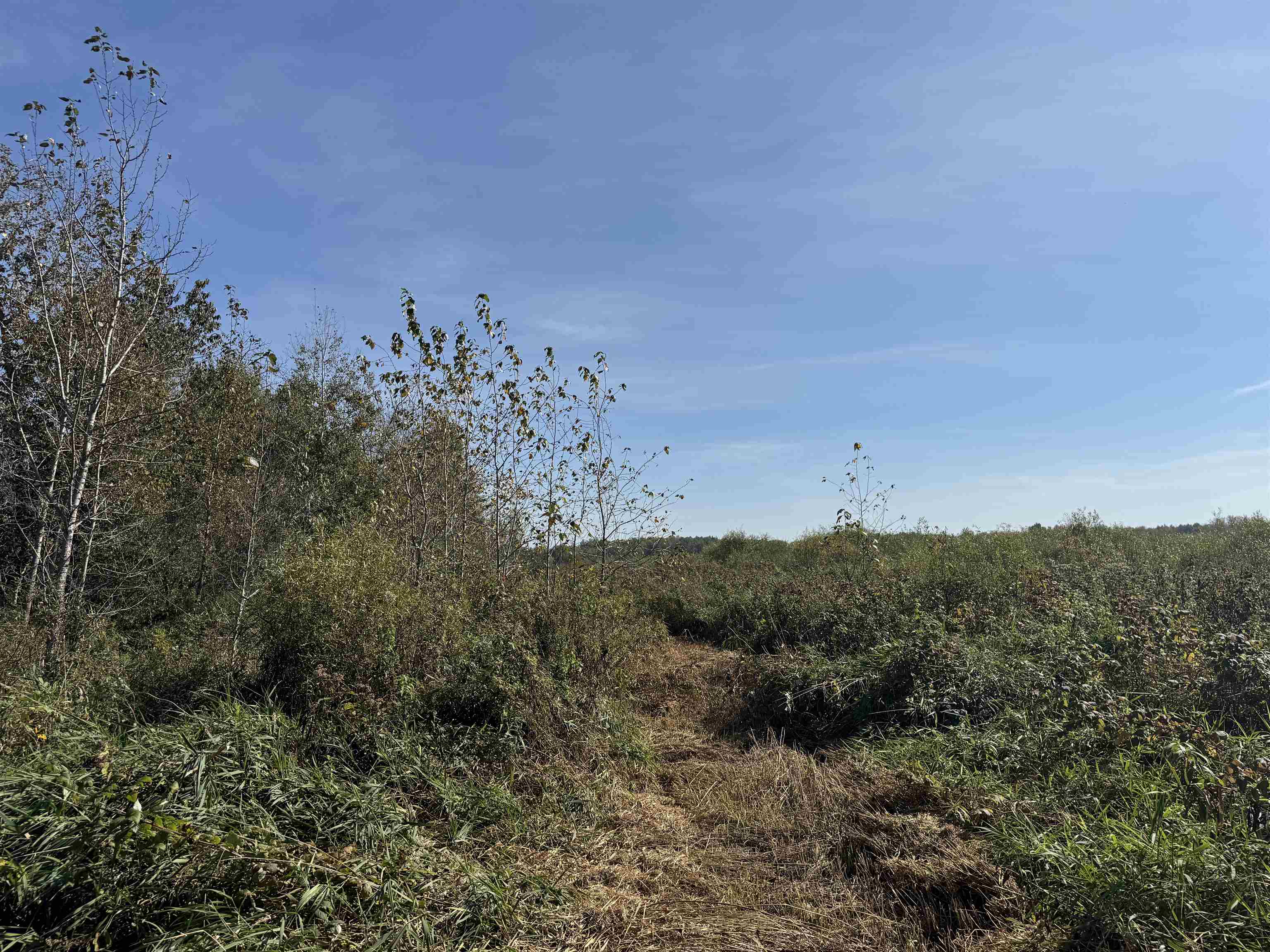 TBD 460th Ln Palisade MN 56469 6122349 image21