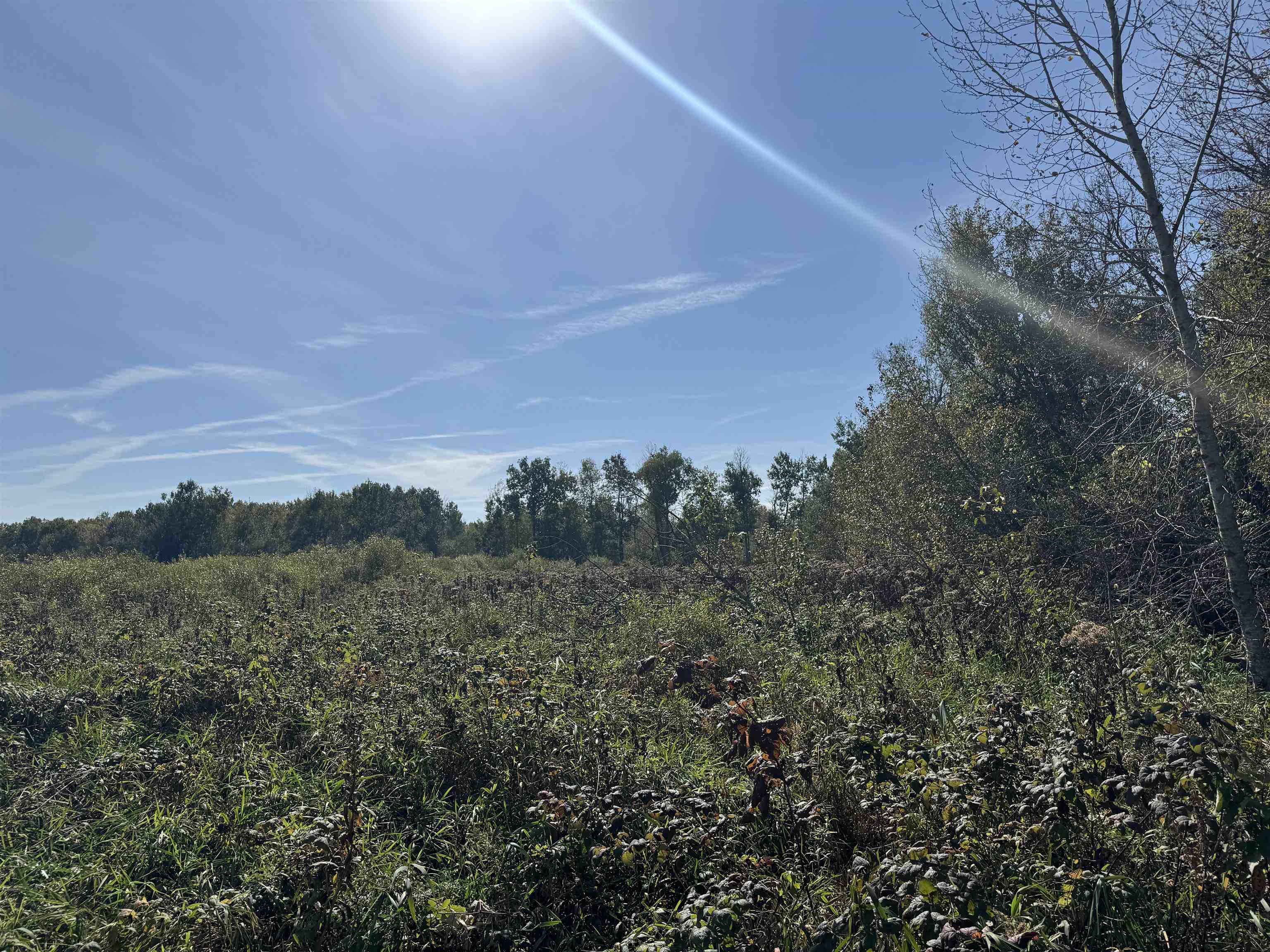 TBD 460th Ln Palisade MN 56469 6122349 image22