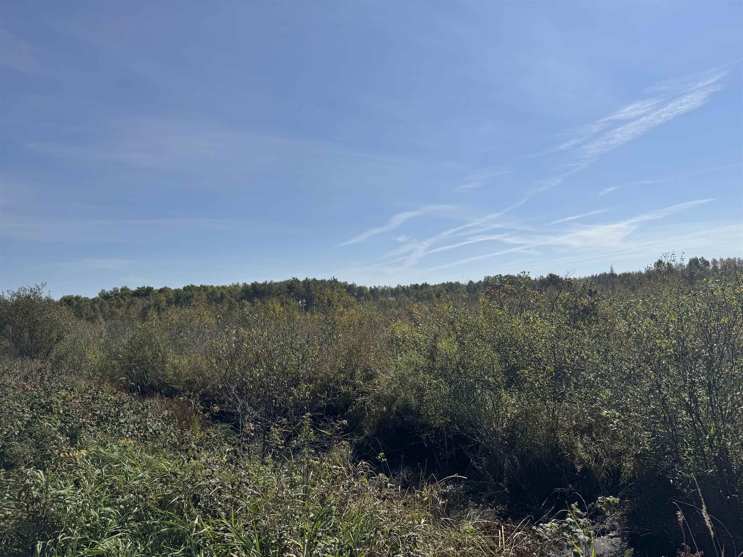 TBD 460th Ln Palisade MN 56469 6122349 image23