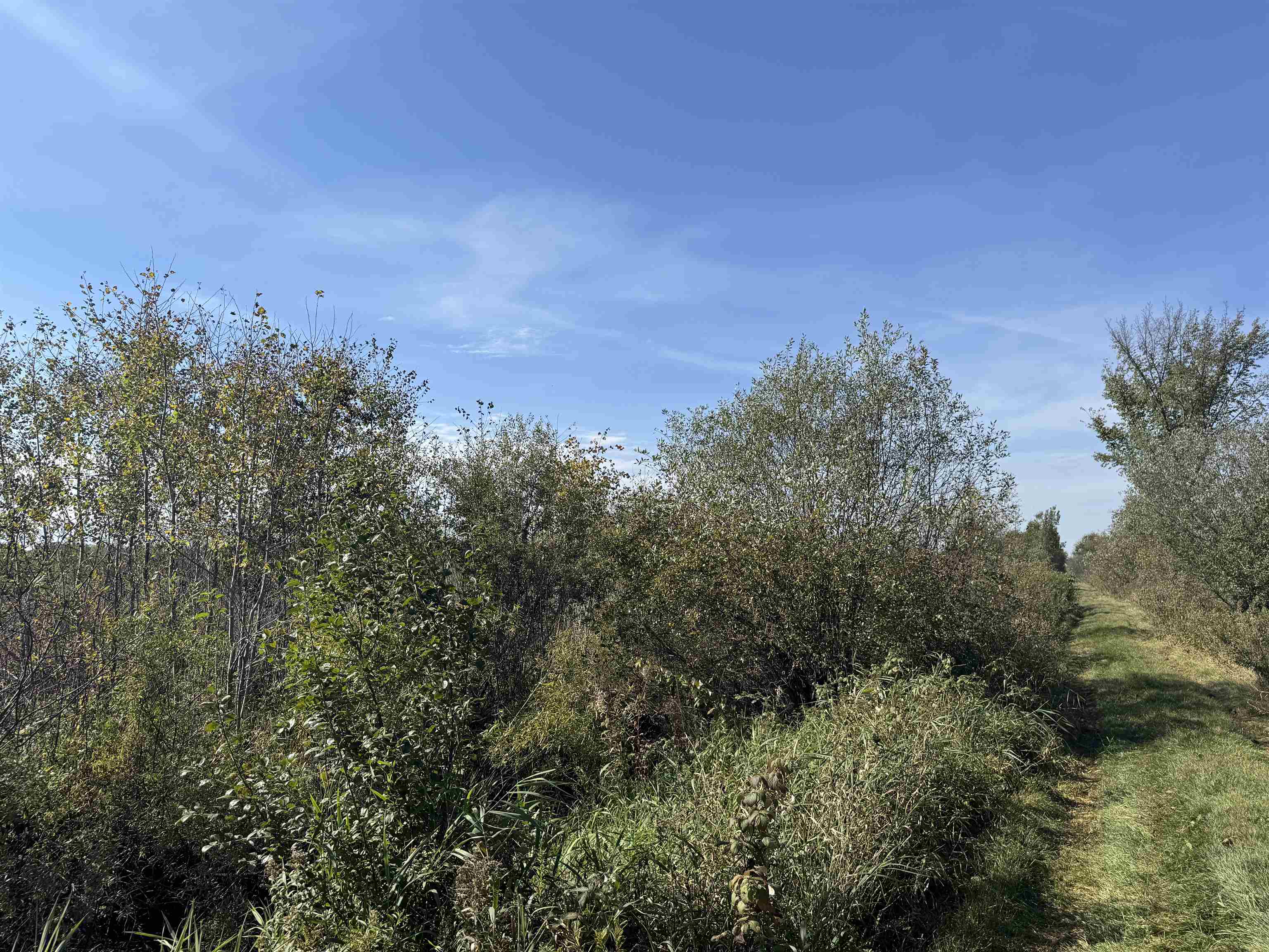 TBD 460th Ln Palisade MN 56469 6122349 image24