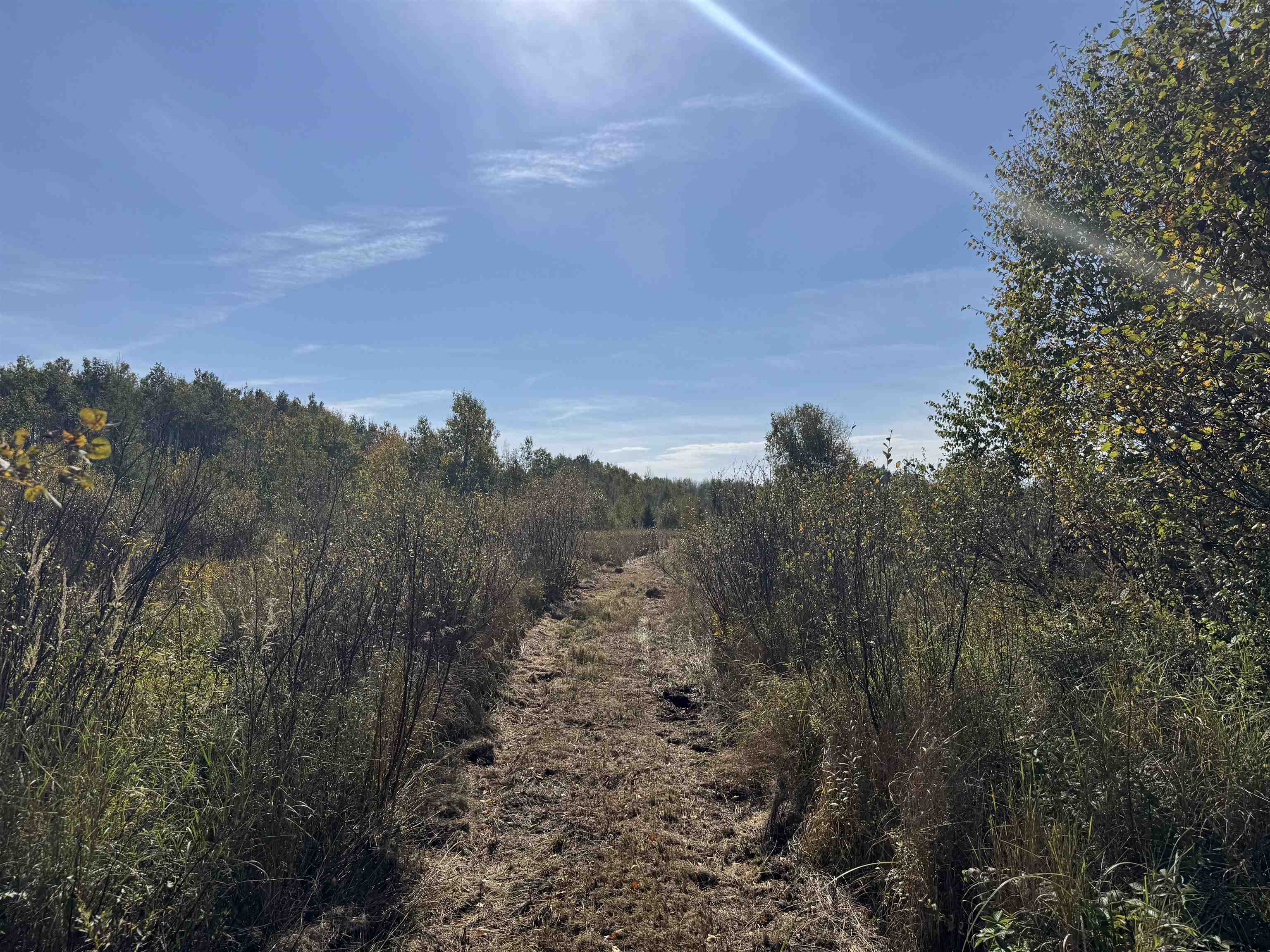 TBD 460th Ln Palisade MN 56469 6122349 image26