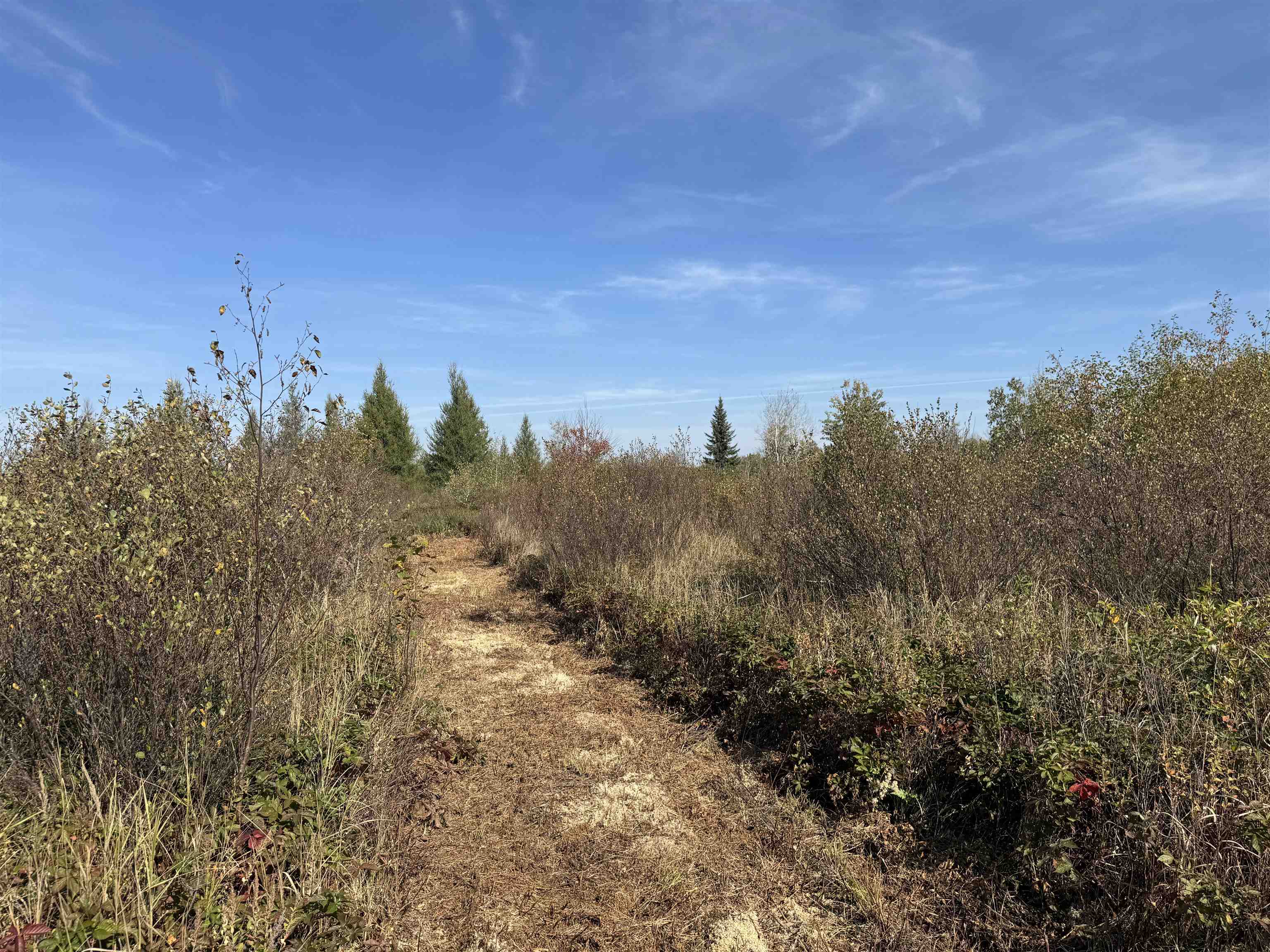 TBD 460th Ln Palisade MN 56469 6122349 image27