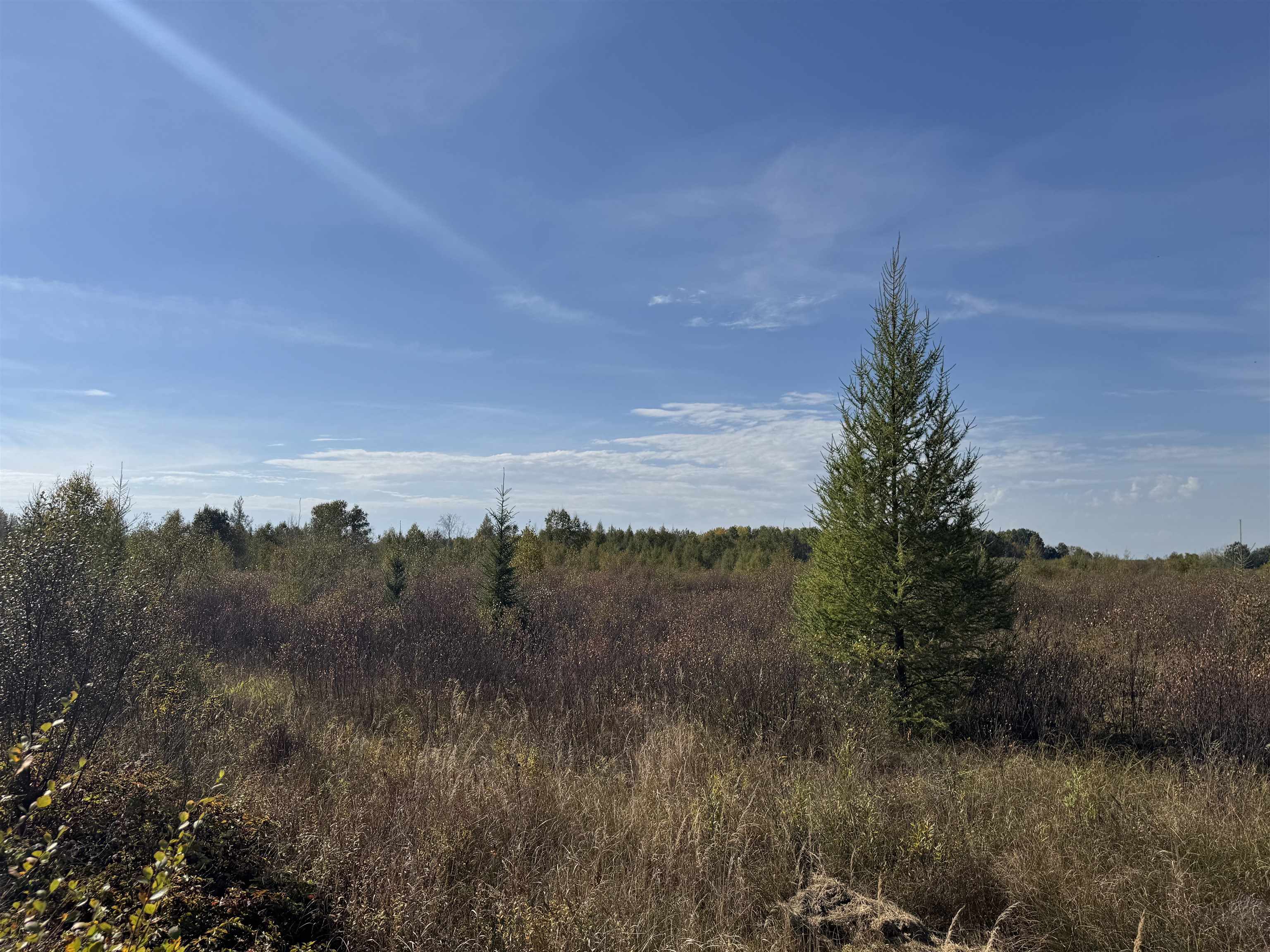 TBD 460th Ln Palisade MN 56469 6122349 image28