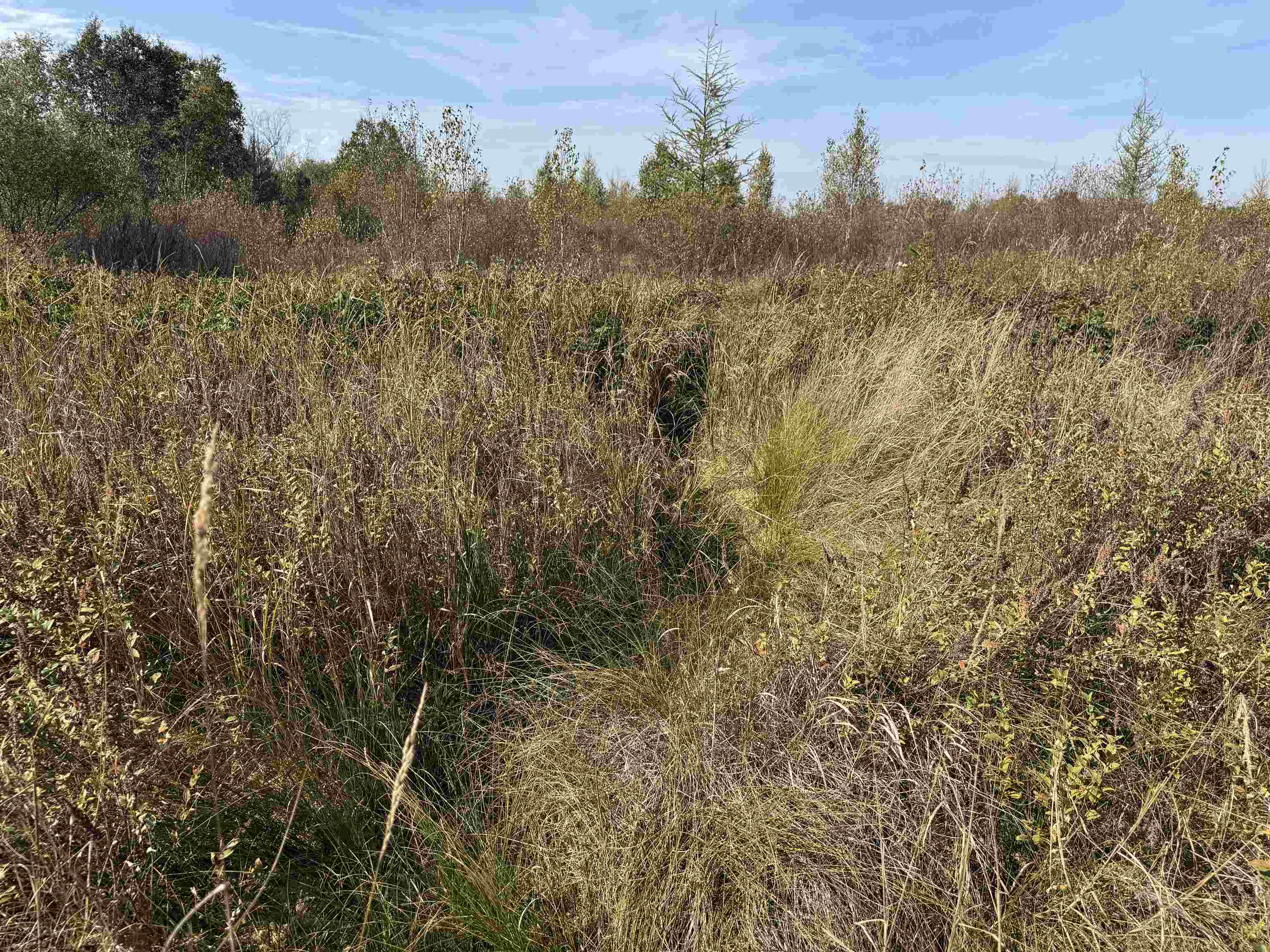 TBD 460th Ln Palisade MN 56469 6122349 image29