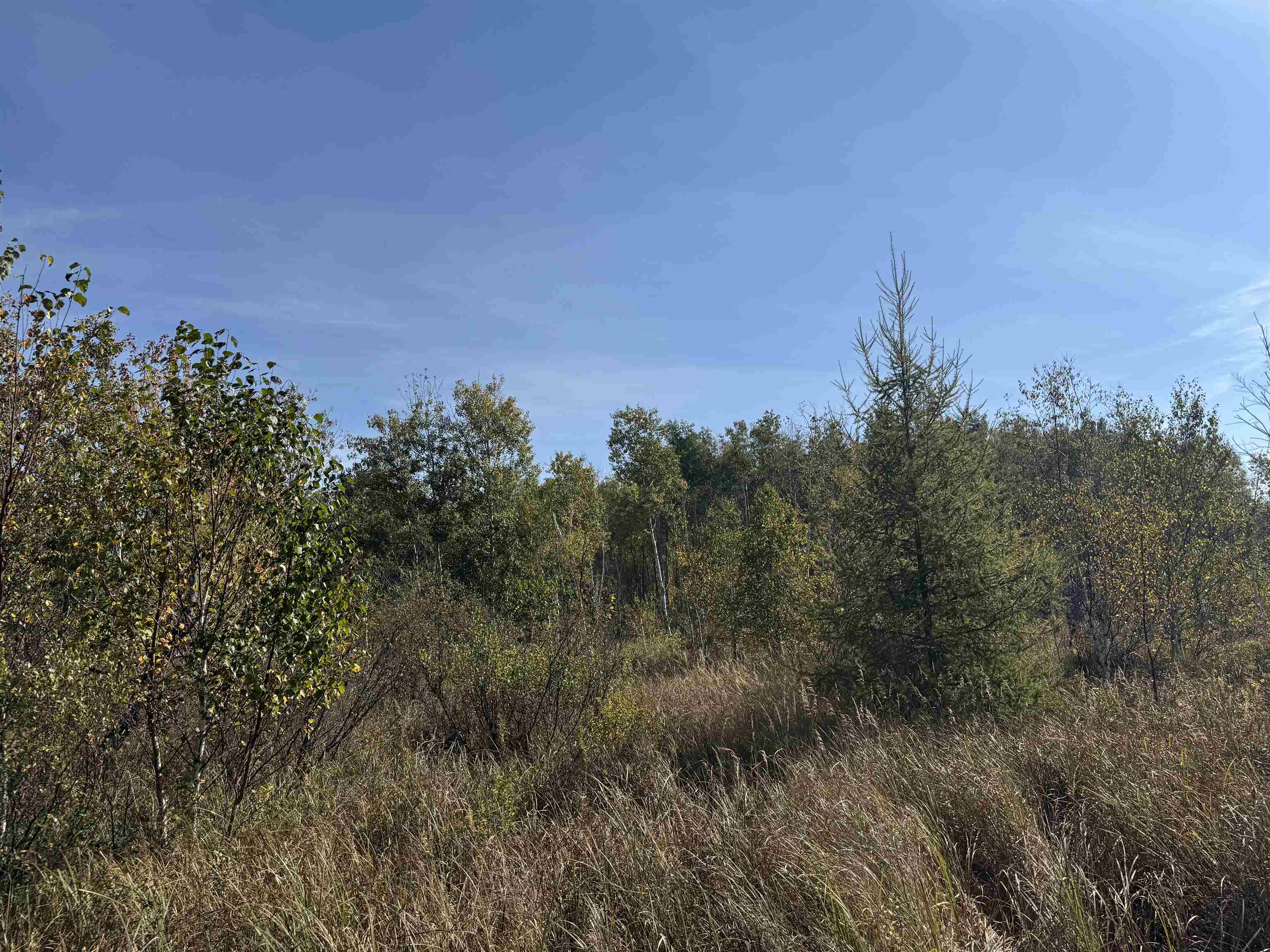 TBD 460th Ln Palisade MN 56469 6122349 image30