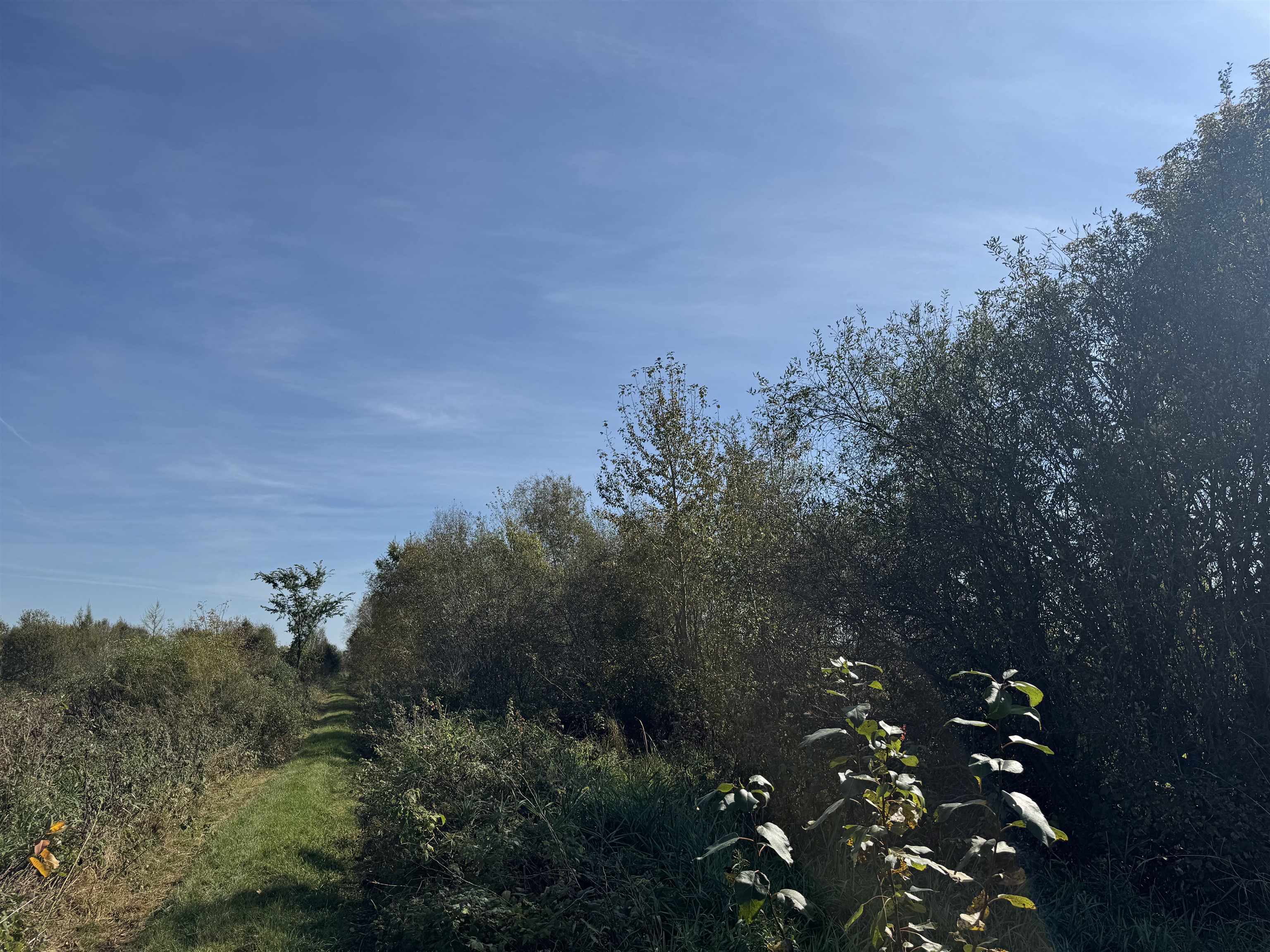 TBD 460th Ln Palisade MN 56469 6122349 image36