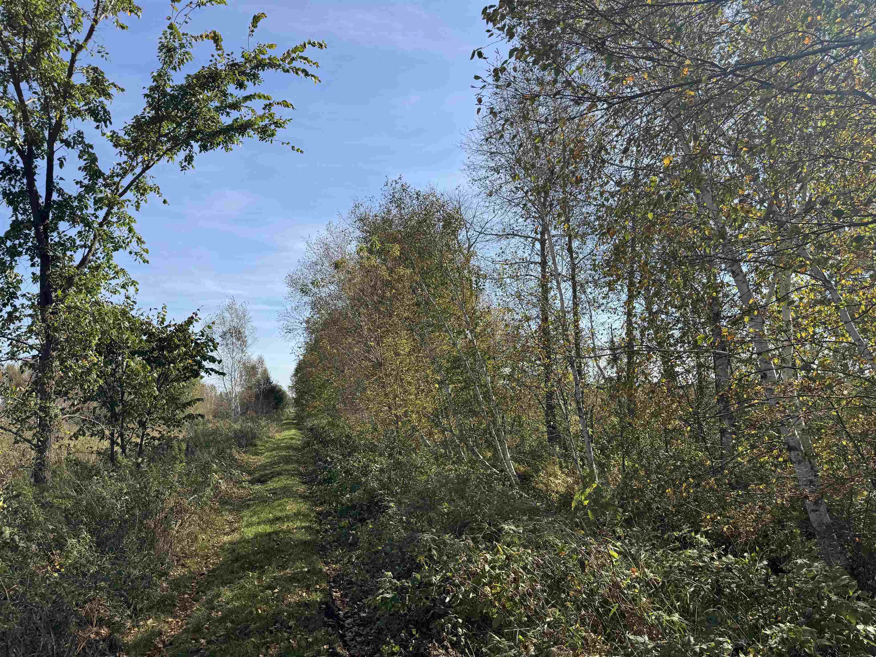 TBD 460th Ln Palisade MN 56469 6122349 image4