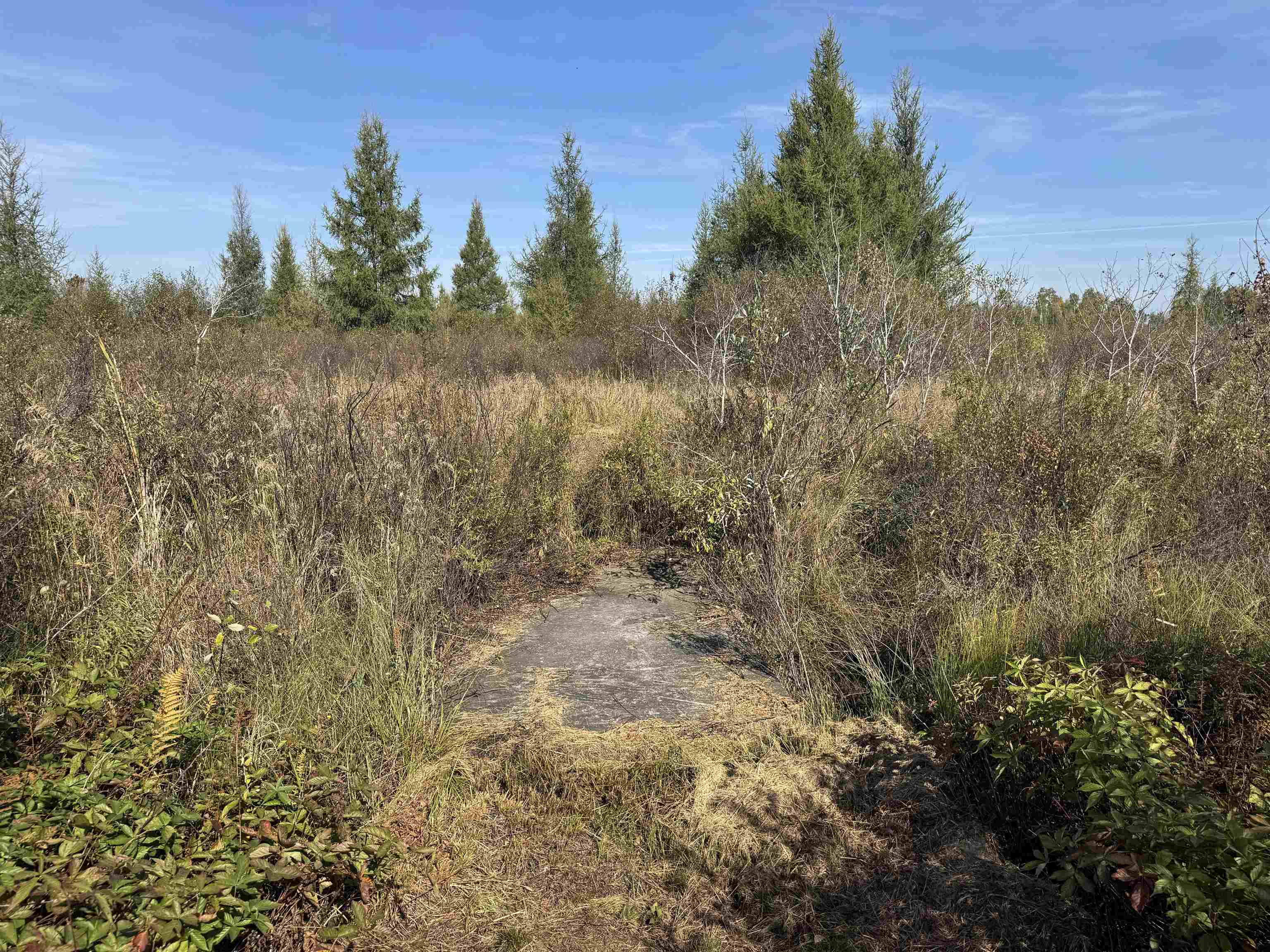 TBD 460th Ln Palisade MN 56469 6122349 image5