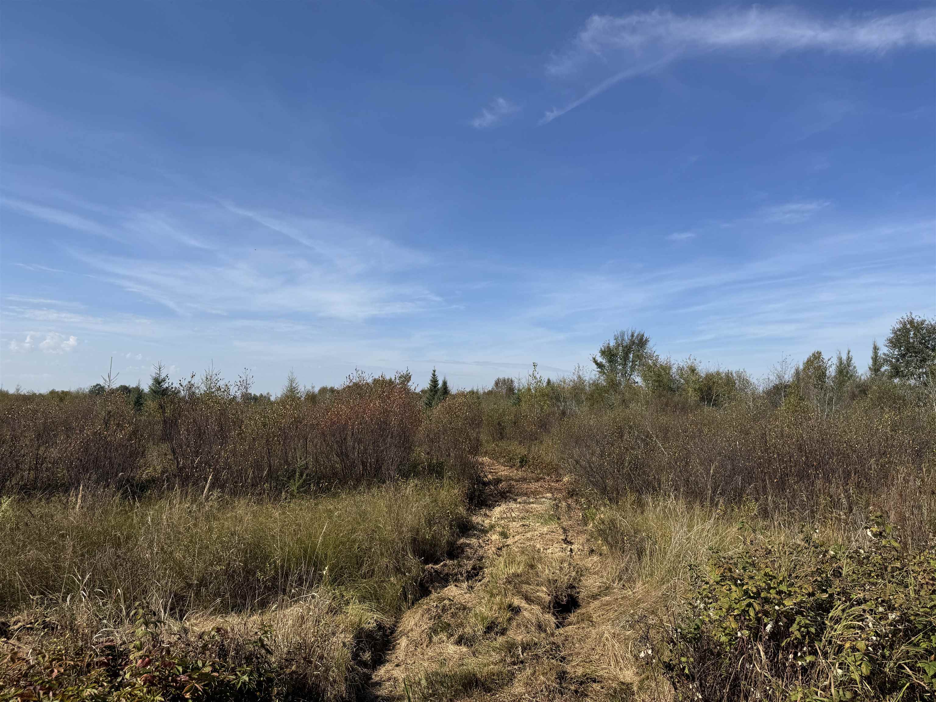 TBD 460th Ln Palisade MN 56469 6122349 image6