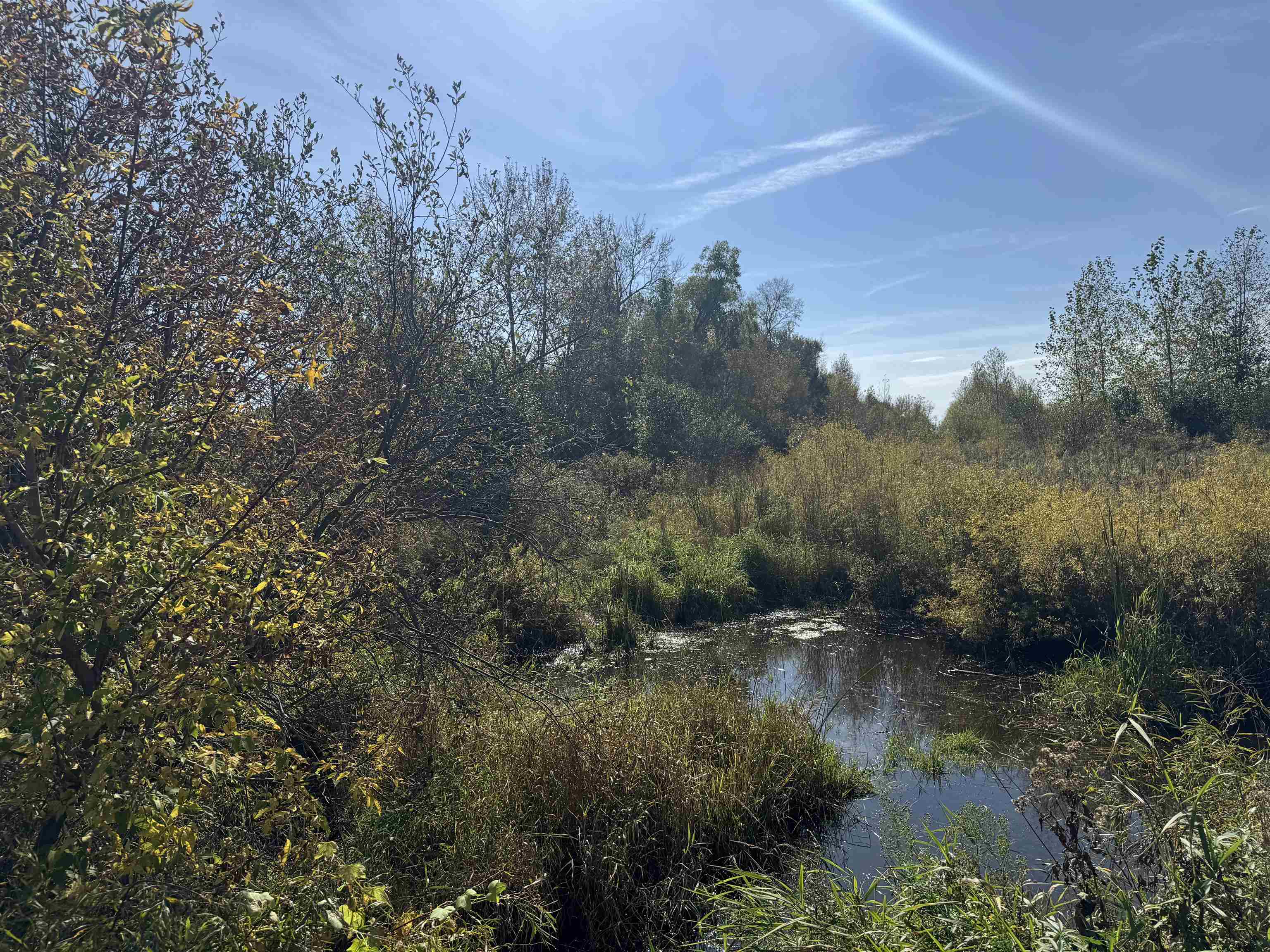 TBD 460th Ln Palisade MN 56469 6122349 image8