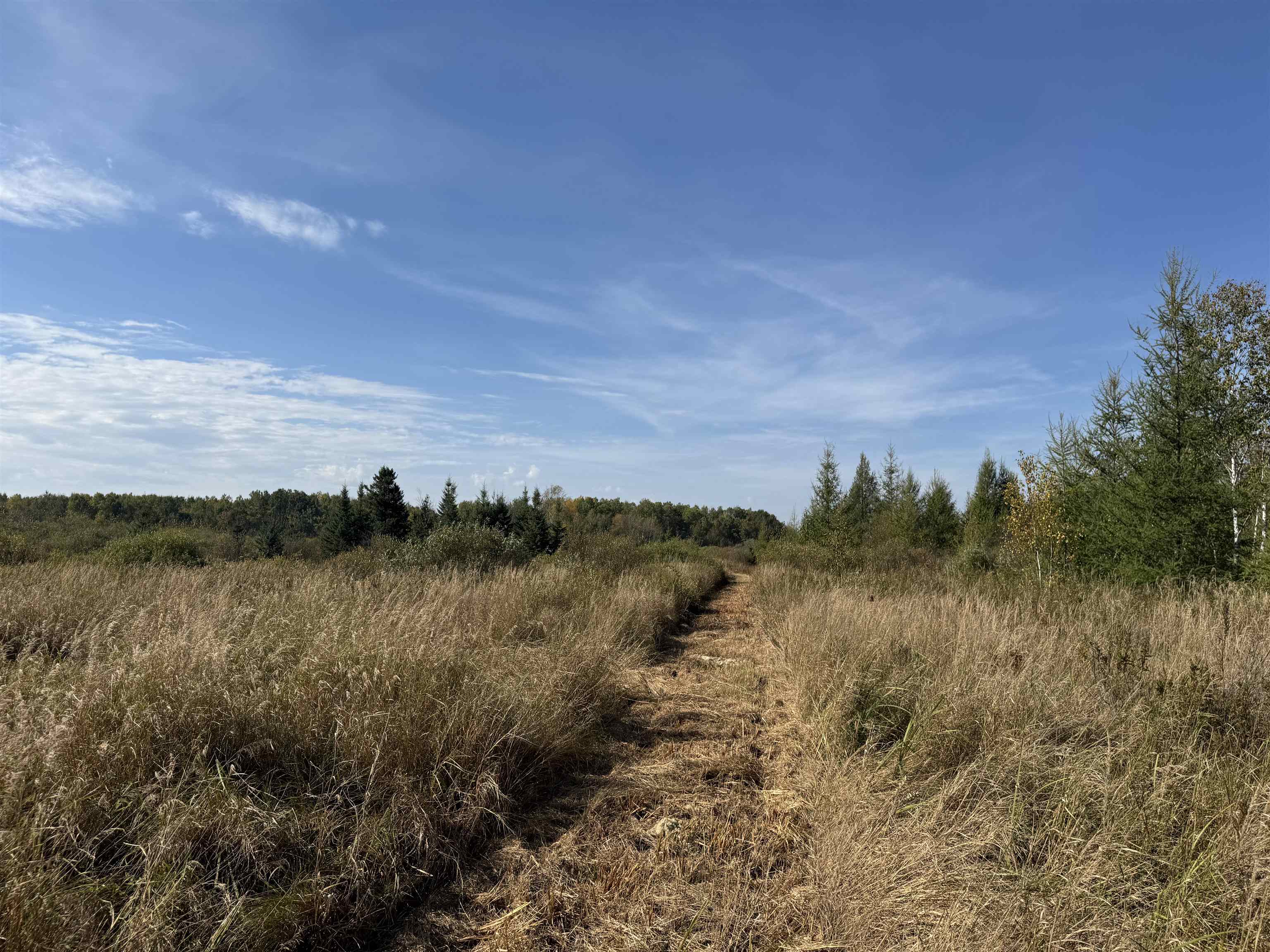 TBD 460th Ln Palisade MN 56469 6122349 image9