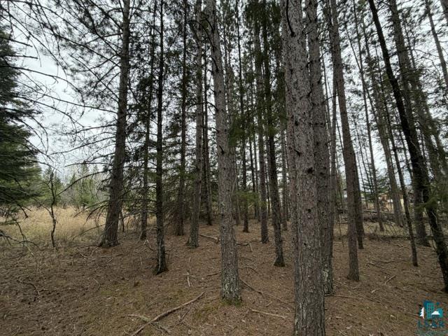 TBD 5th St SW Cook MN 55723 6125384 image10