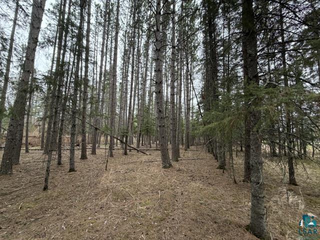 TBD 5th St SW Cook MN 55723 6125384 image11