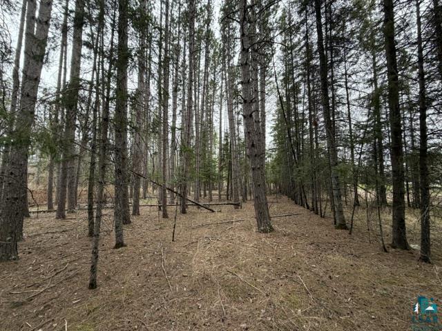TBD 5th St SW Cook MN 55723 6125384 image12