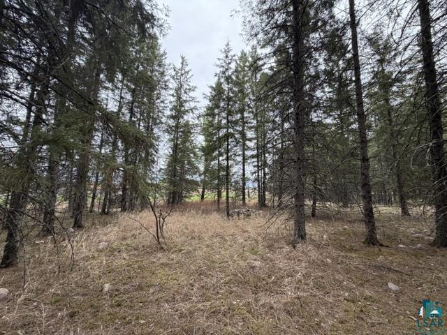 TBD 5th St SW Cook MN 55723 6125384 image13