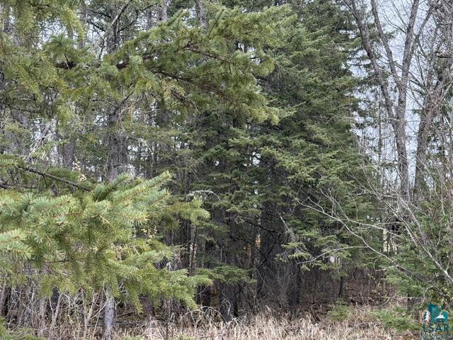 TBD 5th St SW Cook MN 55723 6125384 image3