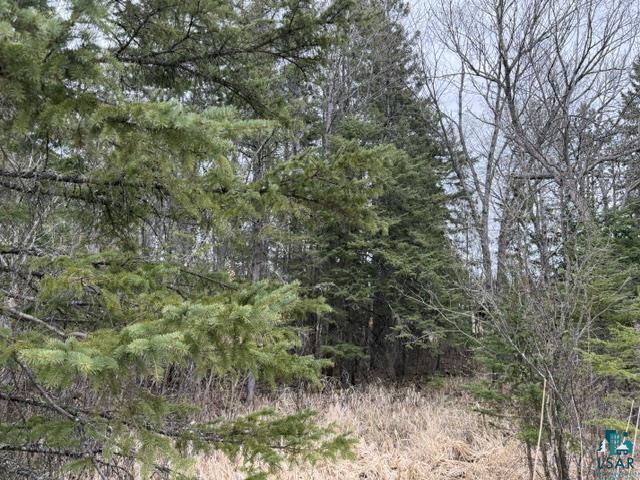 TBD 5th St SW Cook MN 55723 6125384 image4
