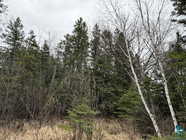 TBD 5th St SW Cook MN 55723 6125384 image5