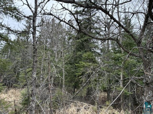 TBD 5th St SW Cook MN 55723 6125384 image6