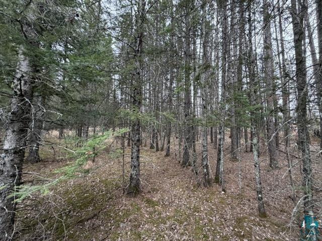 TBD 5th St SW Cook MN 55723 6125384 image7