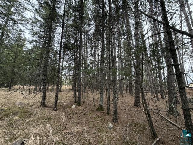 TBD 5th St SW Cook MN 55723 6125384 image8