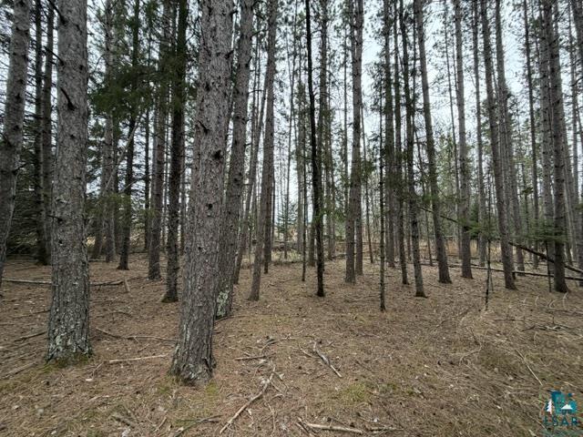 TBD 5th St SW Cook MN 55723 6125384 image9